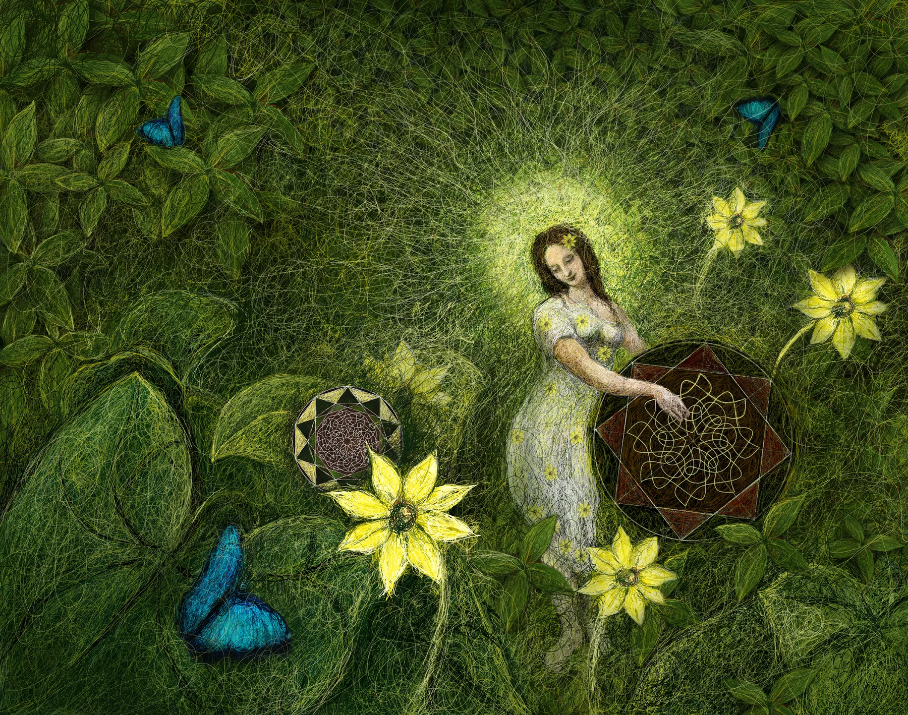 The Garden