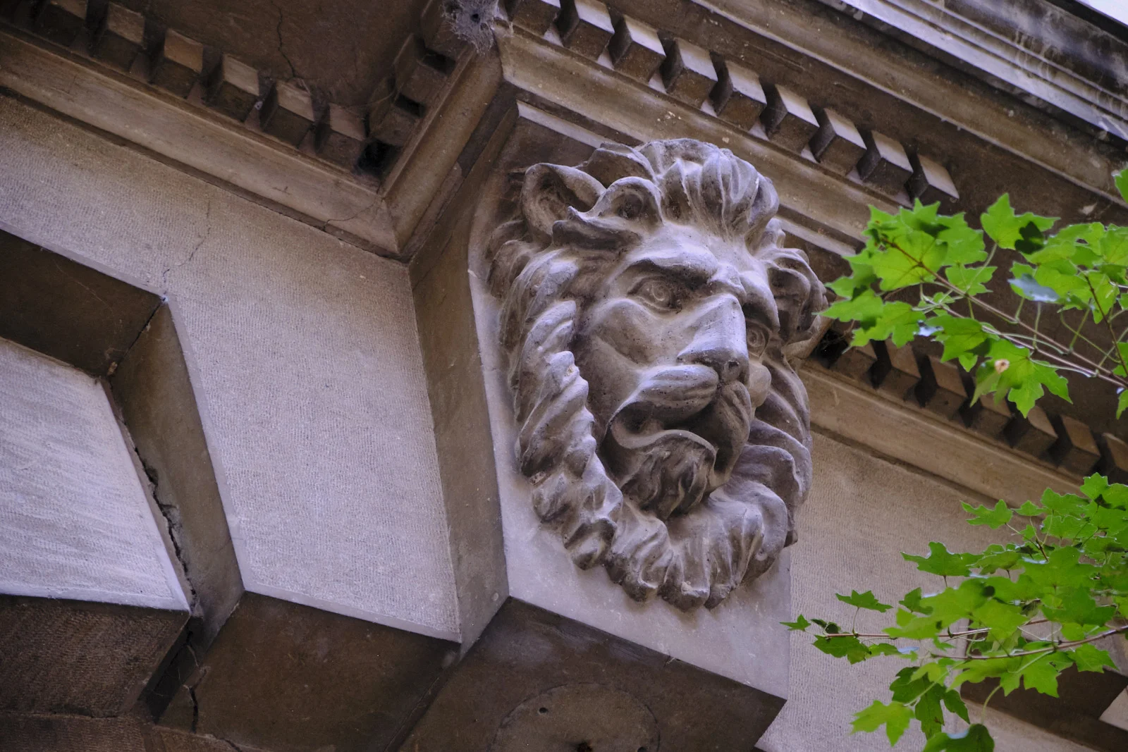 A carved stone lion head on a building corner, with green leaves at the right.