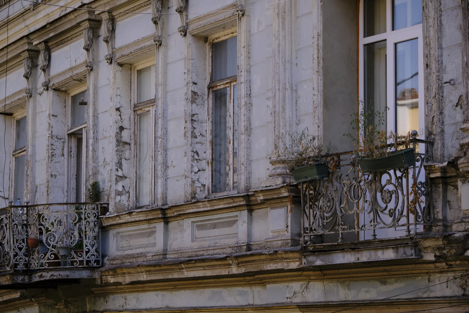 A weathered facade with peeling paint, iron balconies, and dry plants in window boxes.