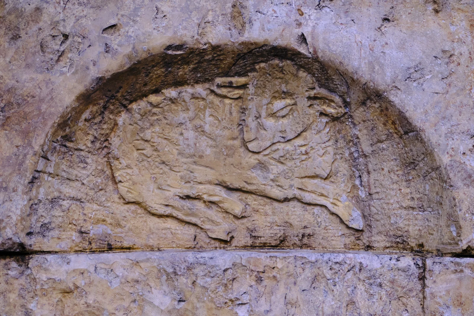 A worn stone relief of a reclining lamb fills a semicircular arch in a masonry wall.