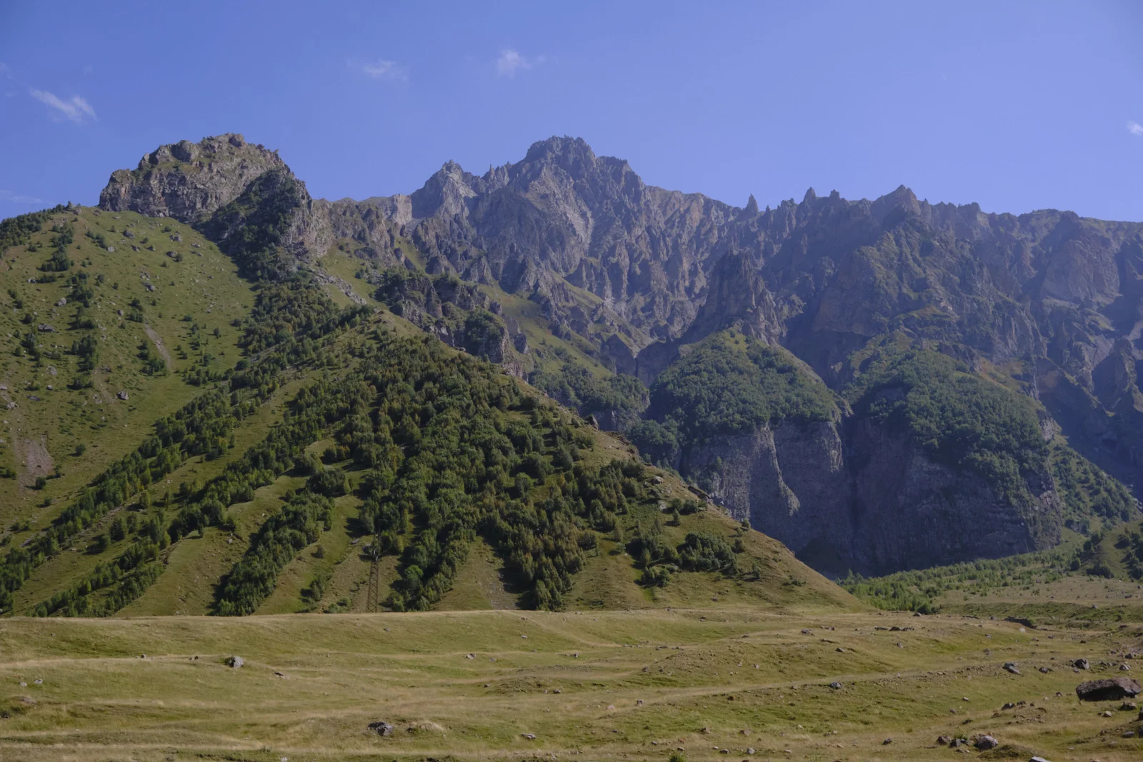 Jagged rock peaks above a green meadow and a line of trees.