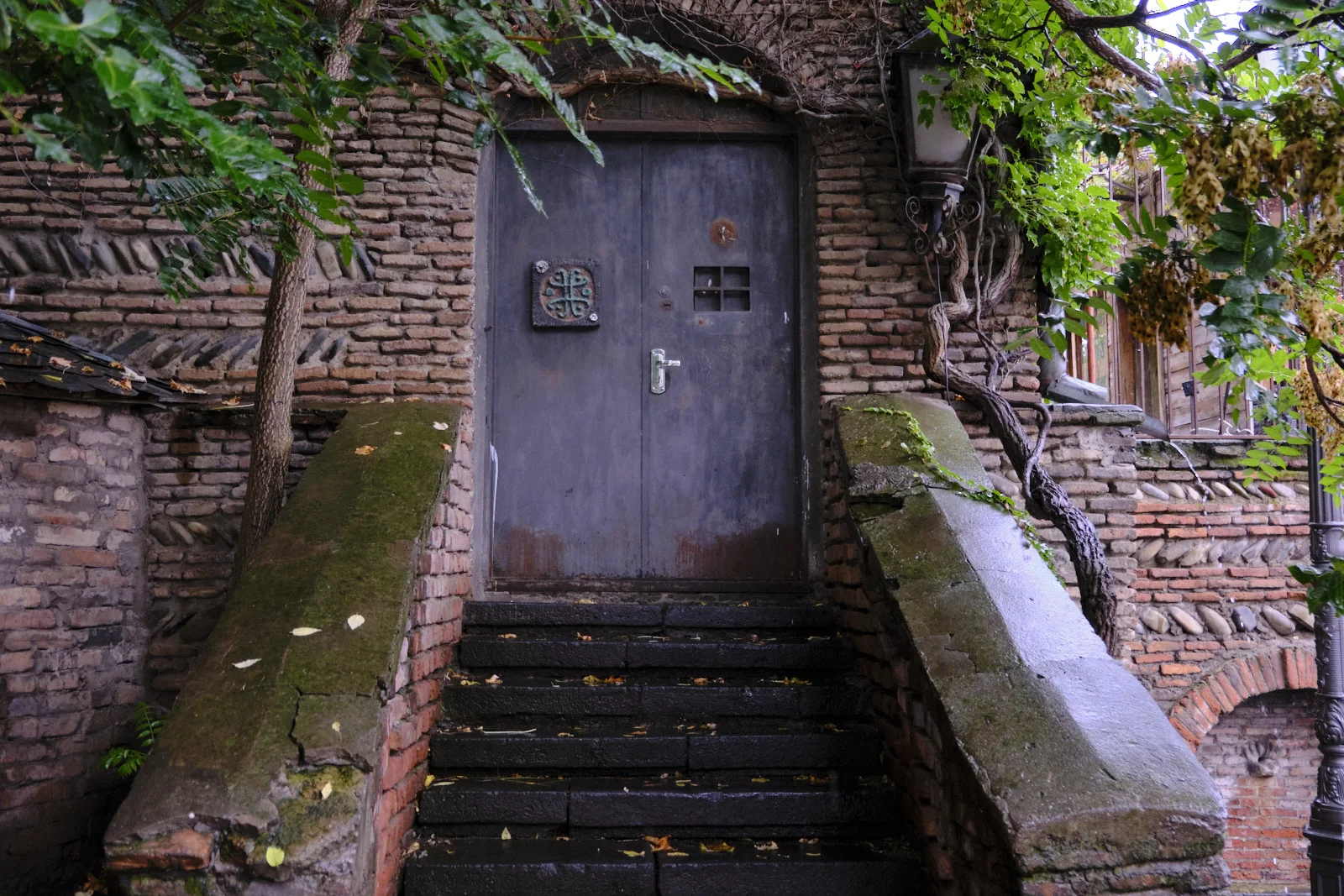 Wet brick steps up to a gray double door set in a brick wall, vines on either side.