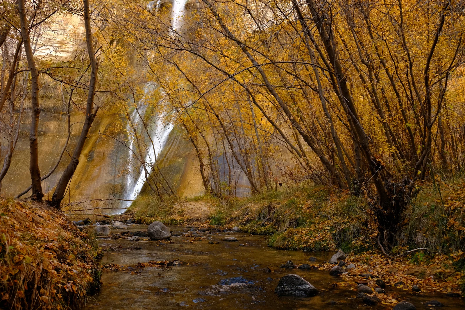 calfcreekfalls