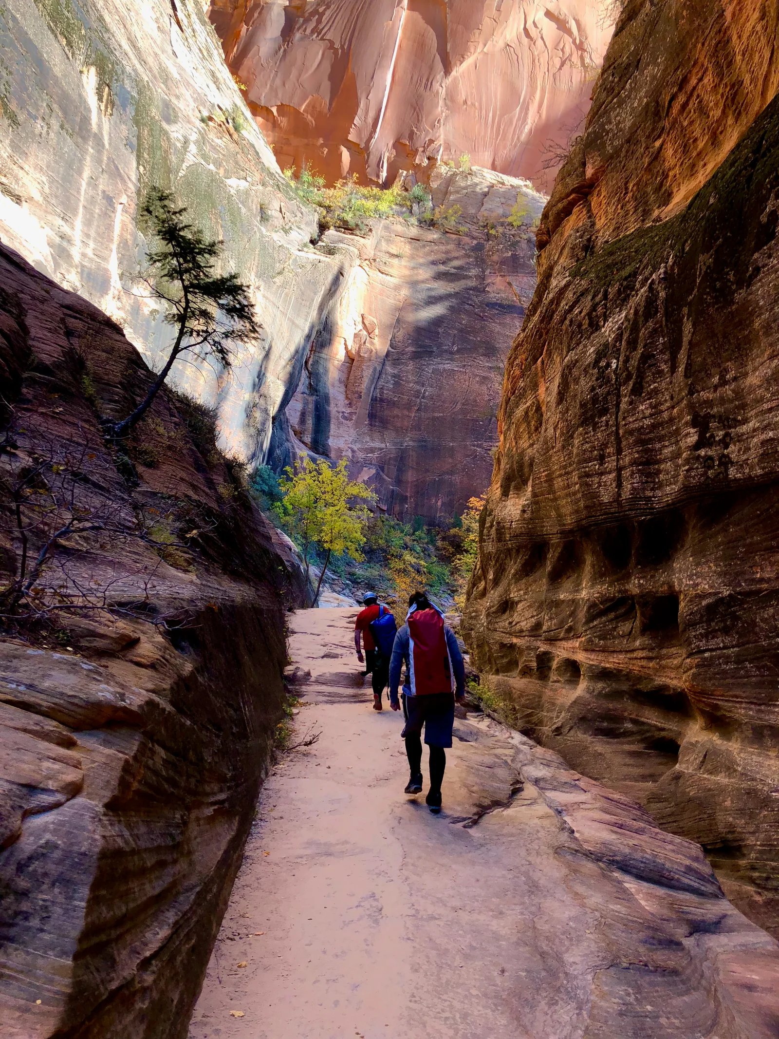 echocanyon