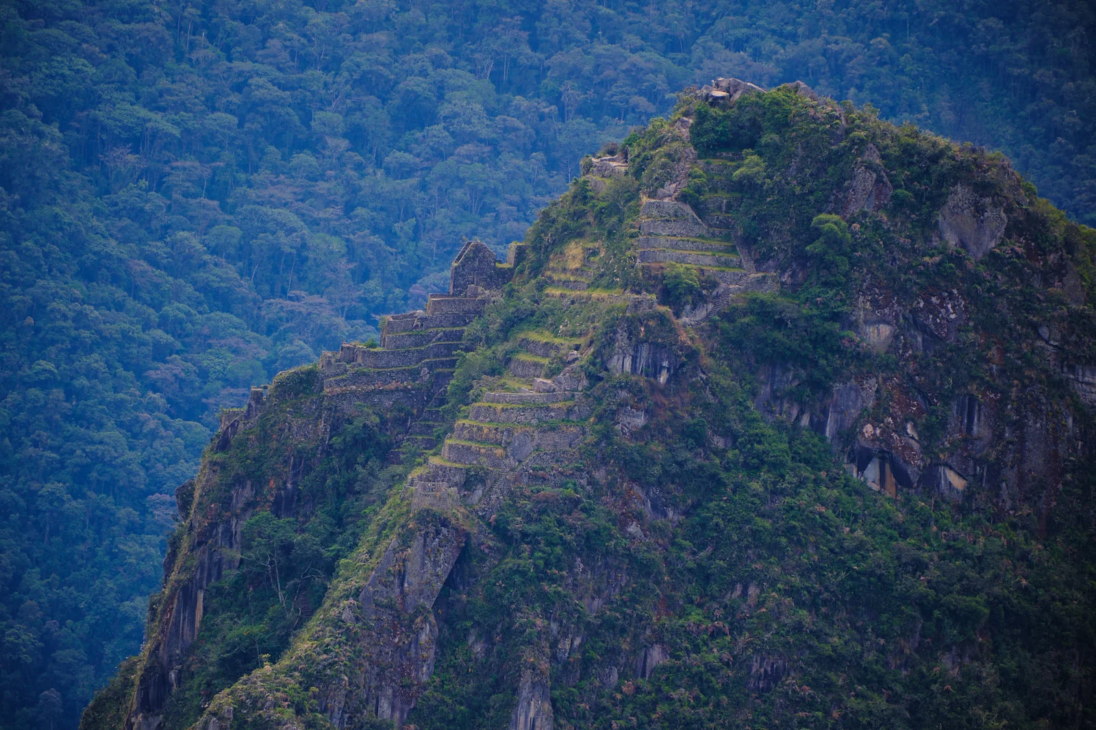 Huayna Picchu peak with Inca terraces climbing the steep forested face