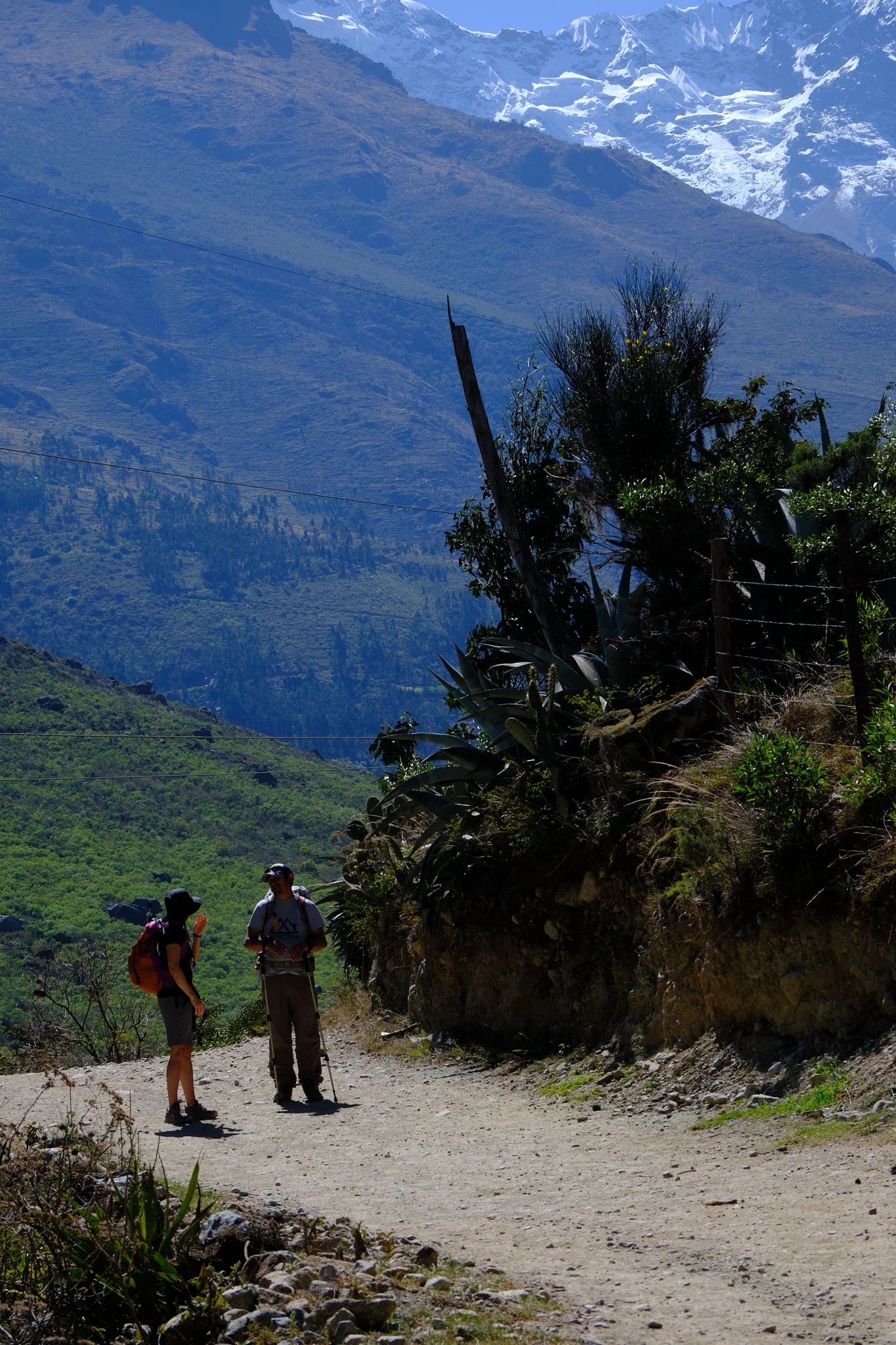 5-kathi-percy