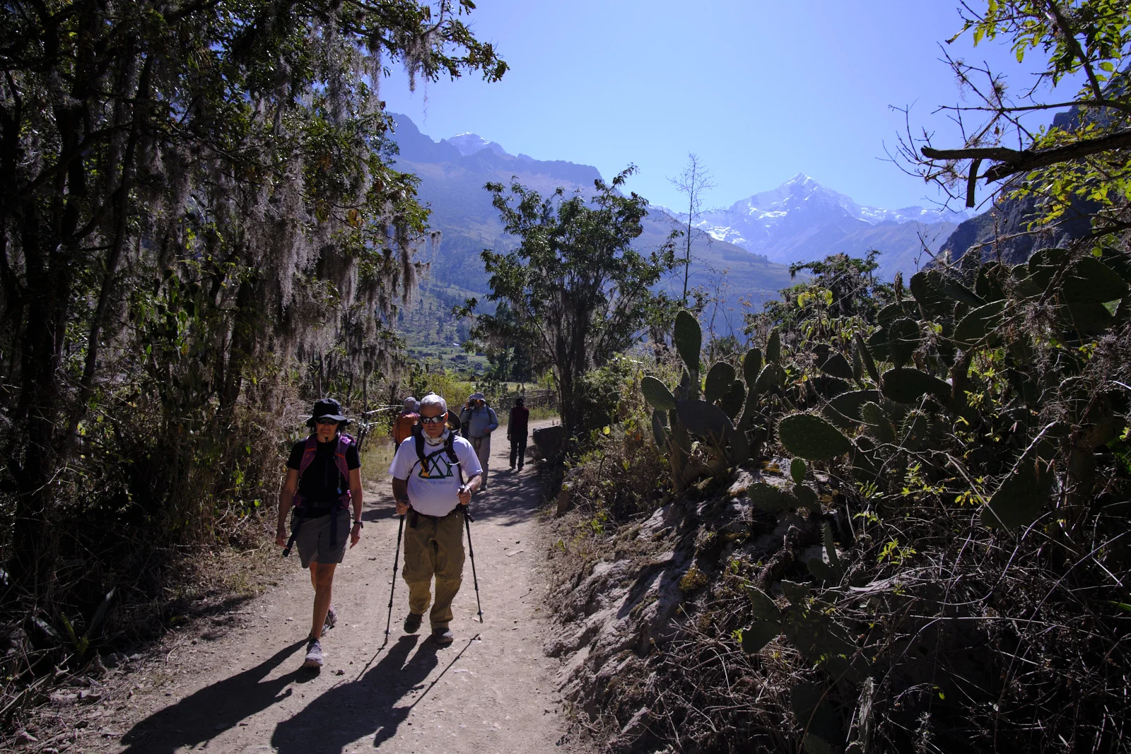 Day-1 trail among cactus and lichen-draped trees, Nevado Veronica and the dry valley slopes behind