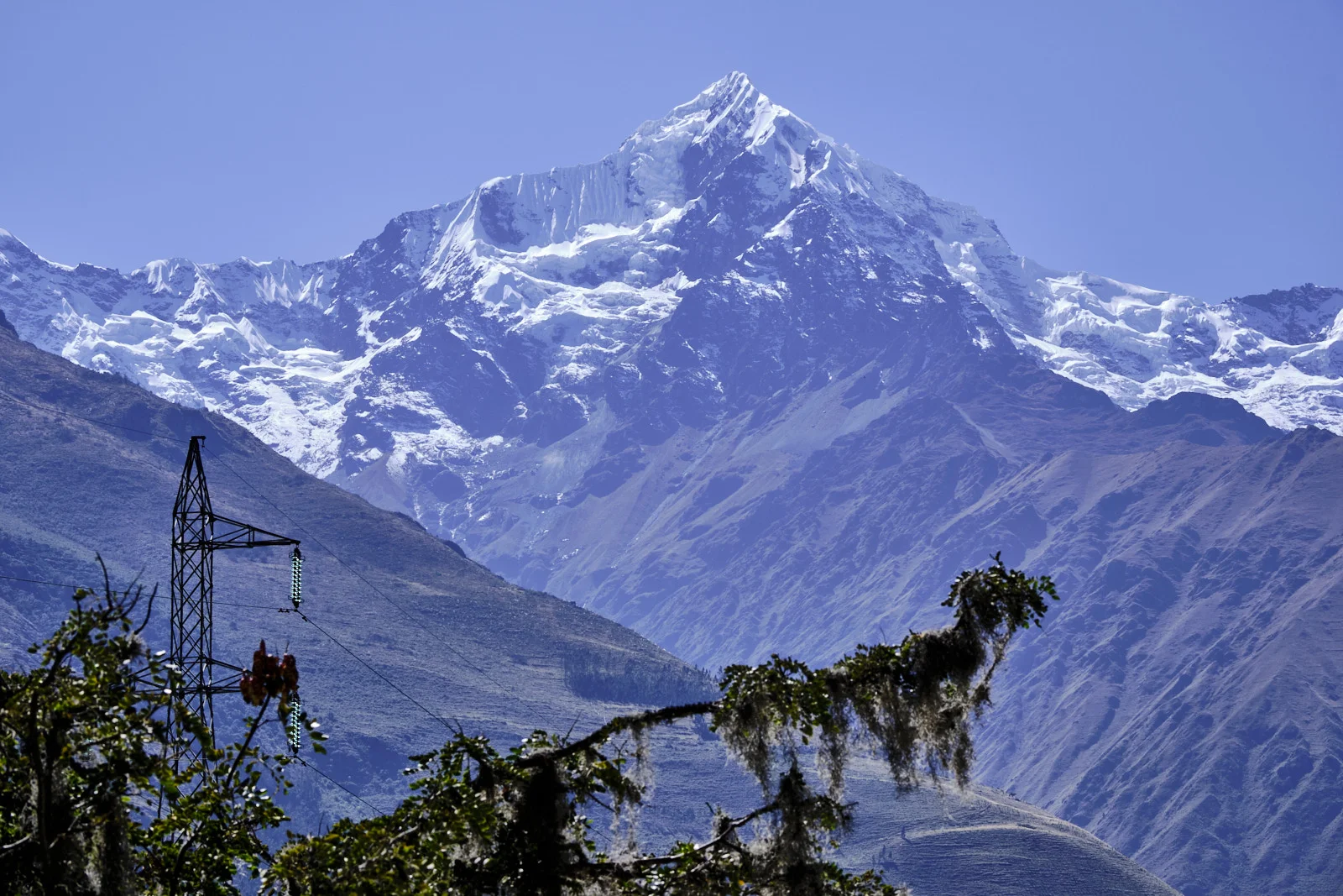 Nevado Veronica above the Urubamba valley, with a power pylon and Spanish-moss-draped branches in the foreground