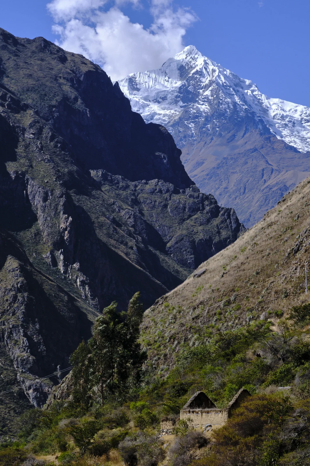 Nevado Veronica above a steep rocky gorge, with a small stone hut and eucalyptus on the near slope