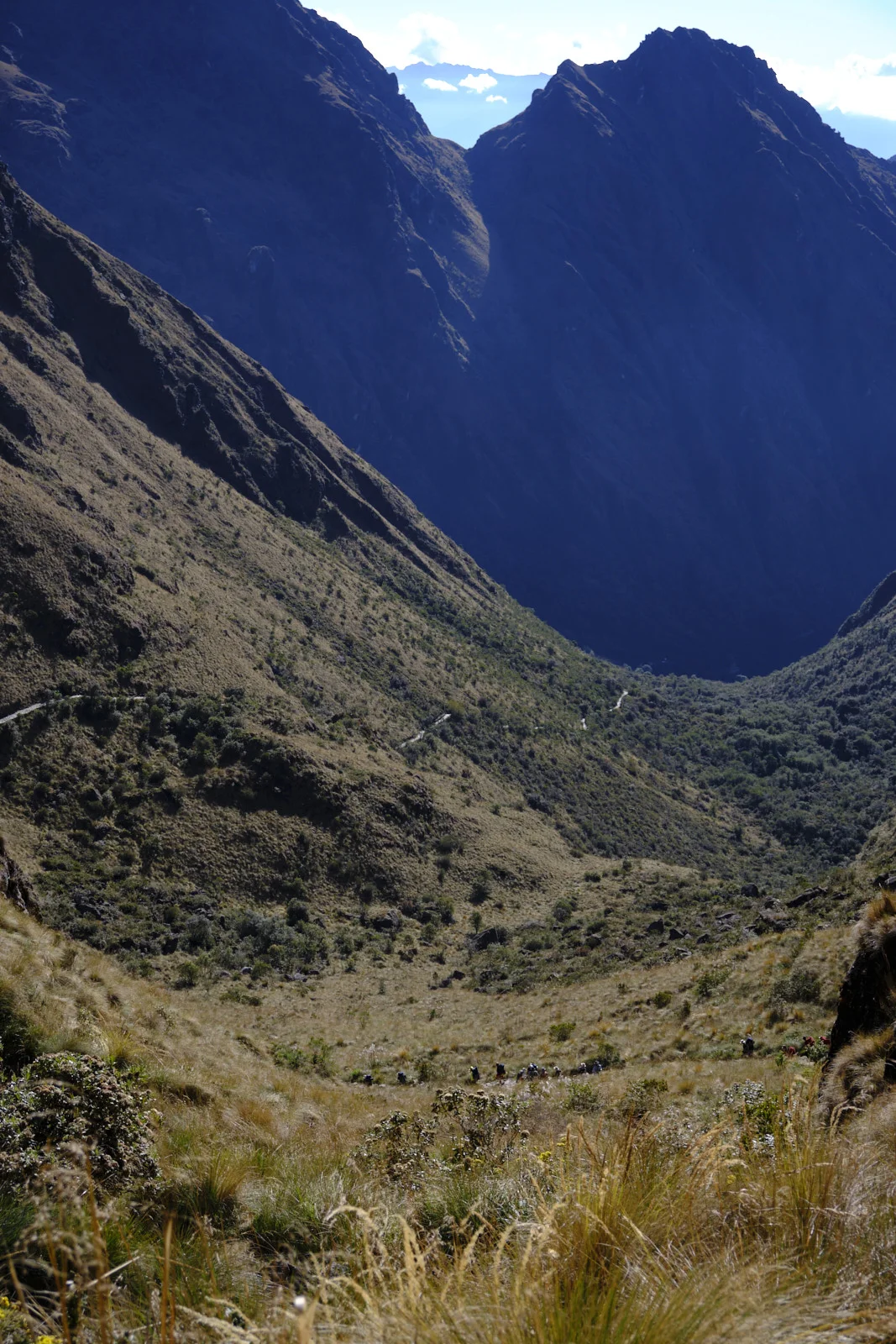 Switchbacks of the Inca Trail climbing a steep grassy slope toward Dead Woman’s Pass (Warmiwañusqa); the ichu-grass valley below