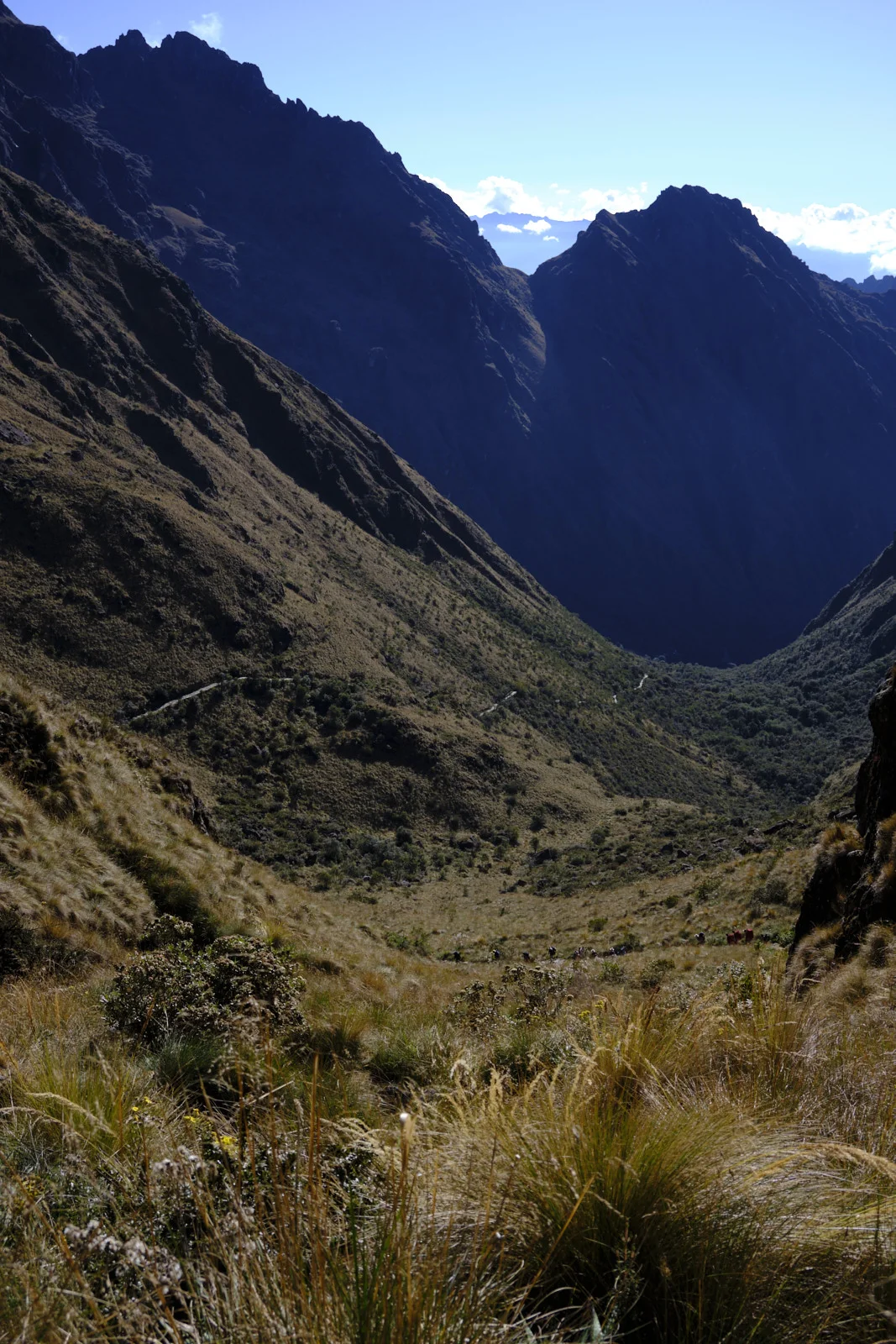 Ascent to Warmiwañusqa, the pale trail scoring the far mountainside and ichu grass in the foreground