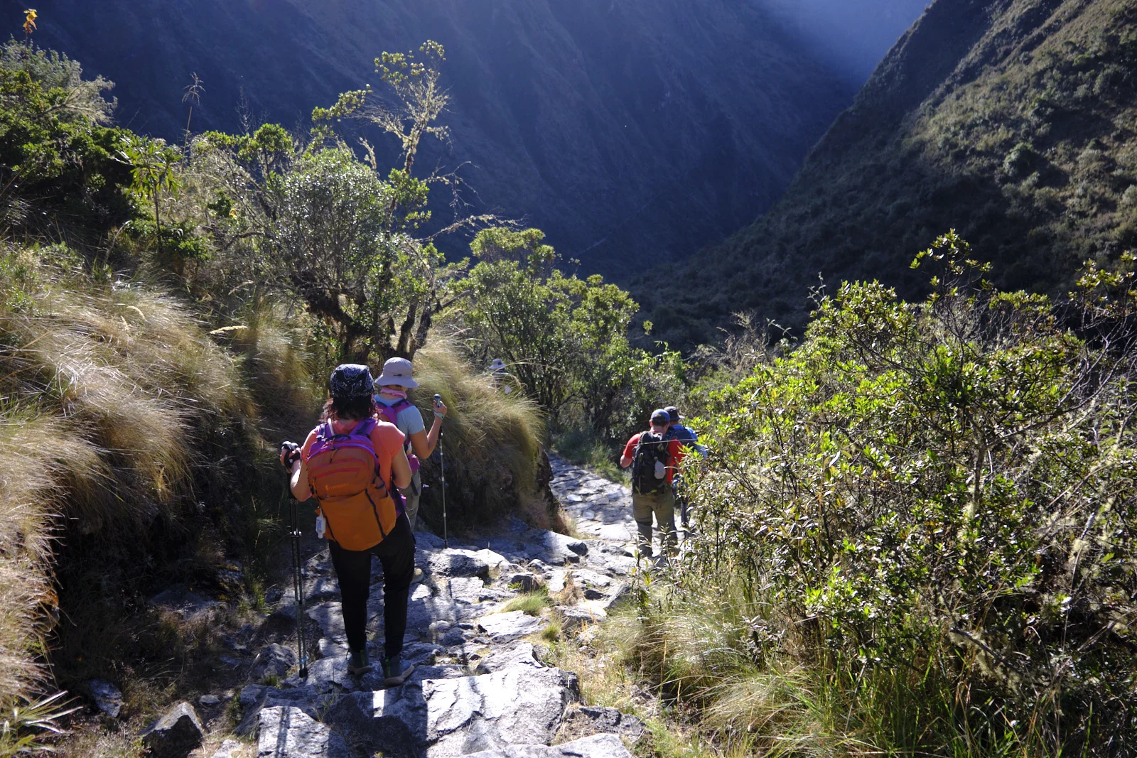 Stone-paved Inca stair through shrubs and ichu grass, with a steep valley dropping away ahead