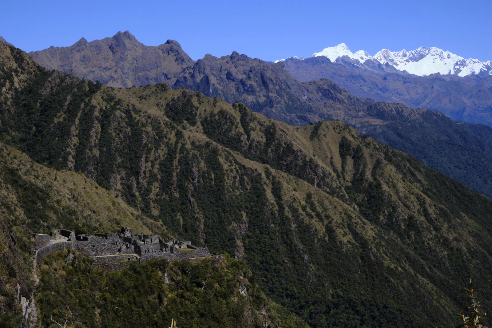 Sayacmarca, a cliff-edge Inca ruin on a forested spur, with Salkantay and the Vilcabamba snow range behind the dry ridges