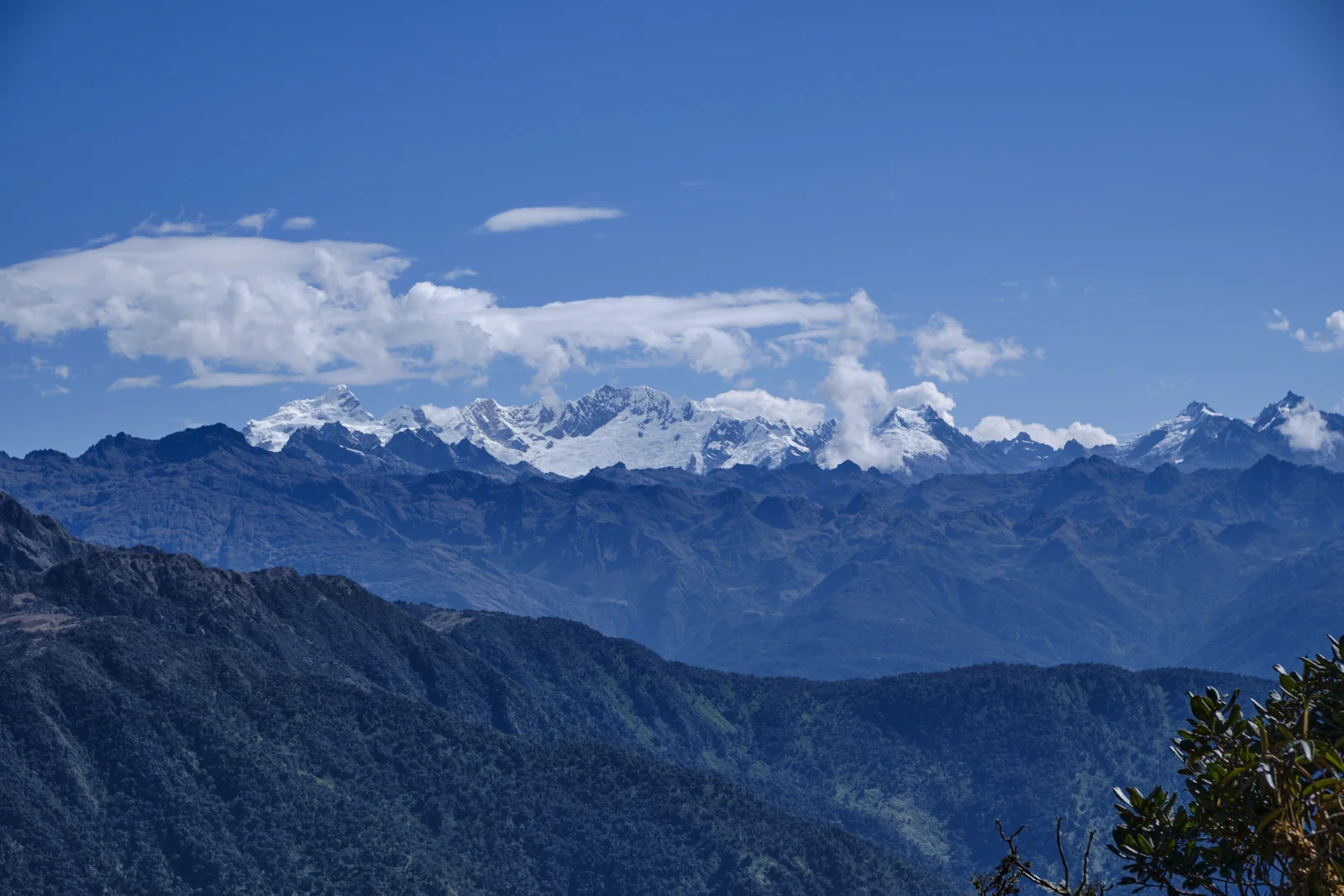 Salkantay and the Vilcabamba snow range across forested ridges, from the trail between Sayacmarca and Phuyupatamarca