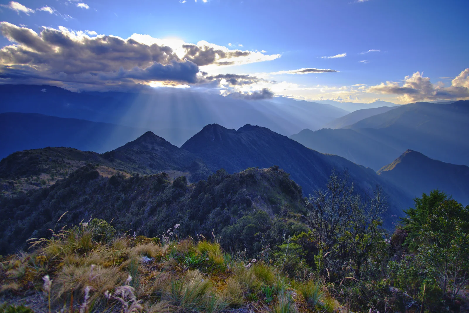 Sunset crepuscular rays over the ridges below Phuyupatamarca, puna grass and shrubs in the foreground