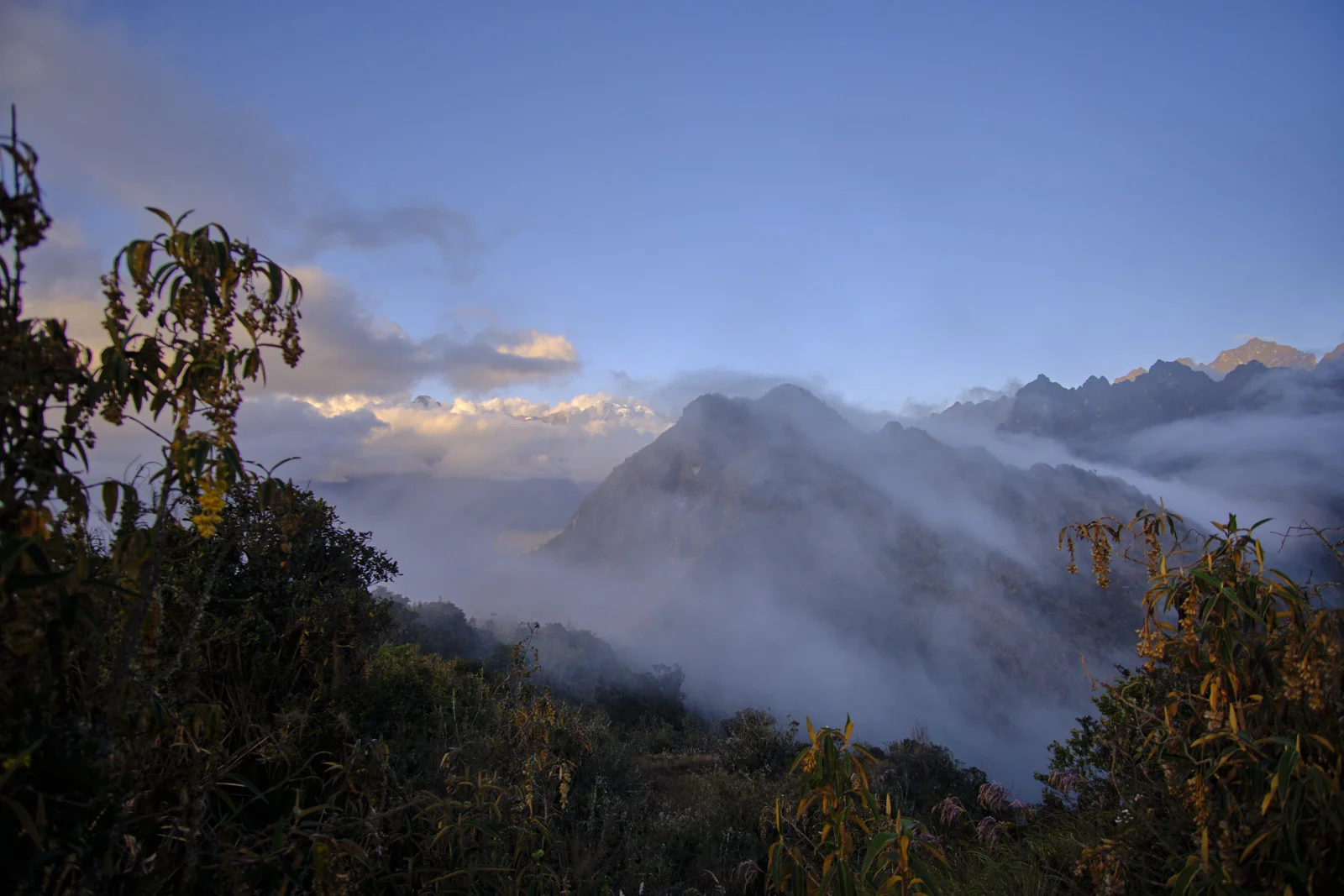Evening cloud filling the valleys around Phuyupatamarca, a ridge emerging from fog among Andean shrubs