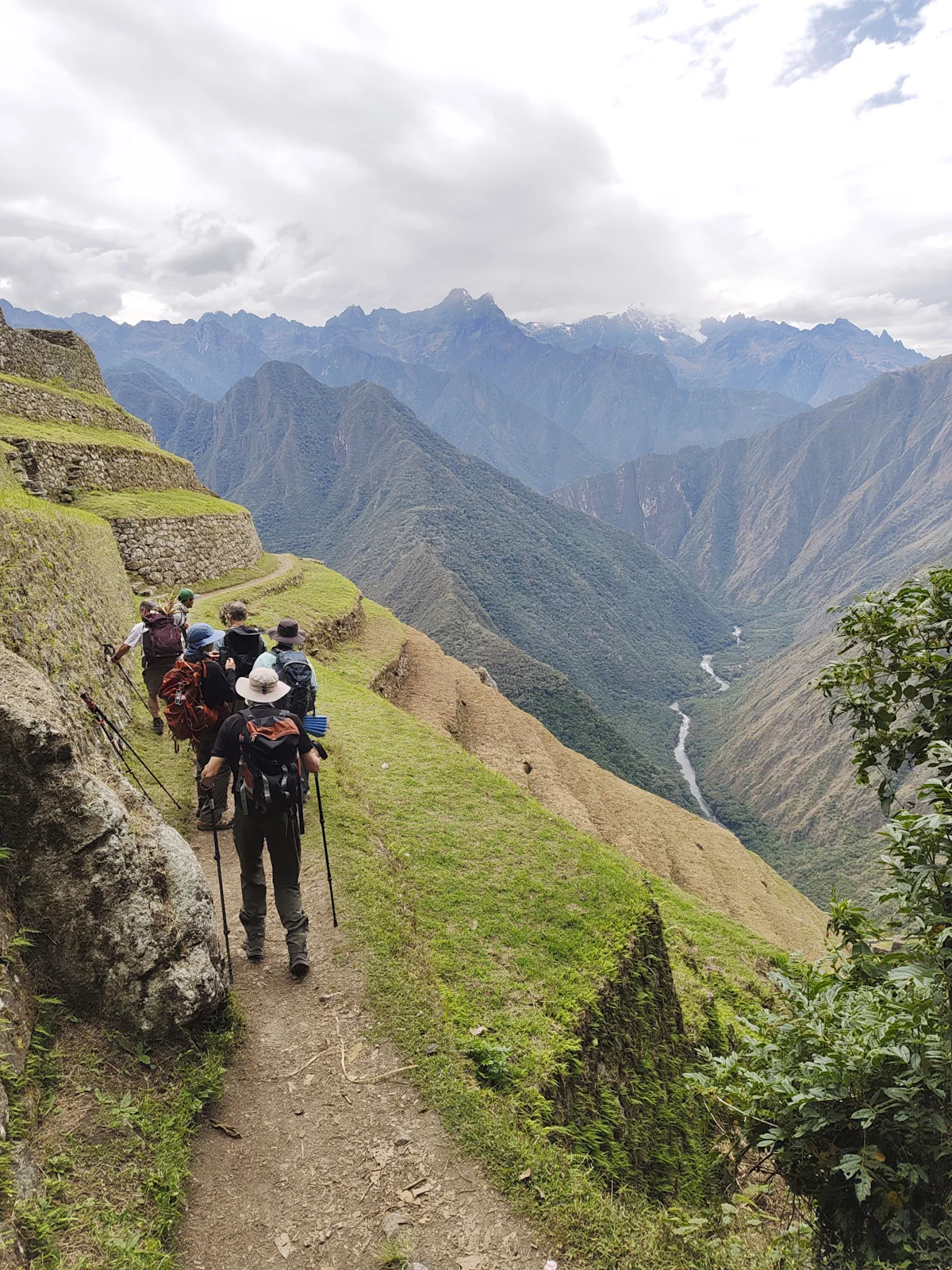 Intipata agricultural terraces on the Inca Trail, the Urubamba River far below and snow peaks on the horizon