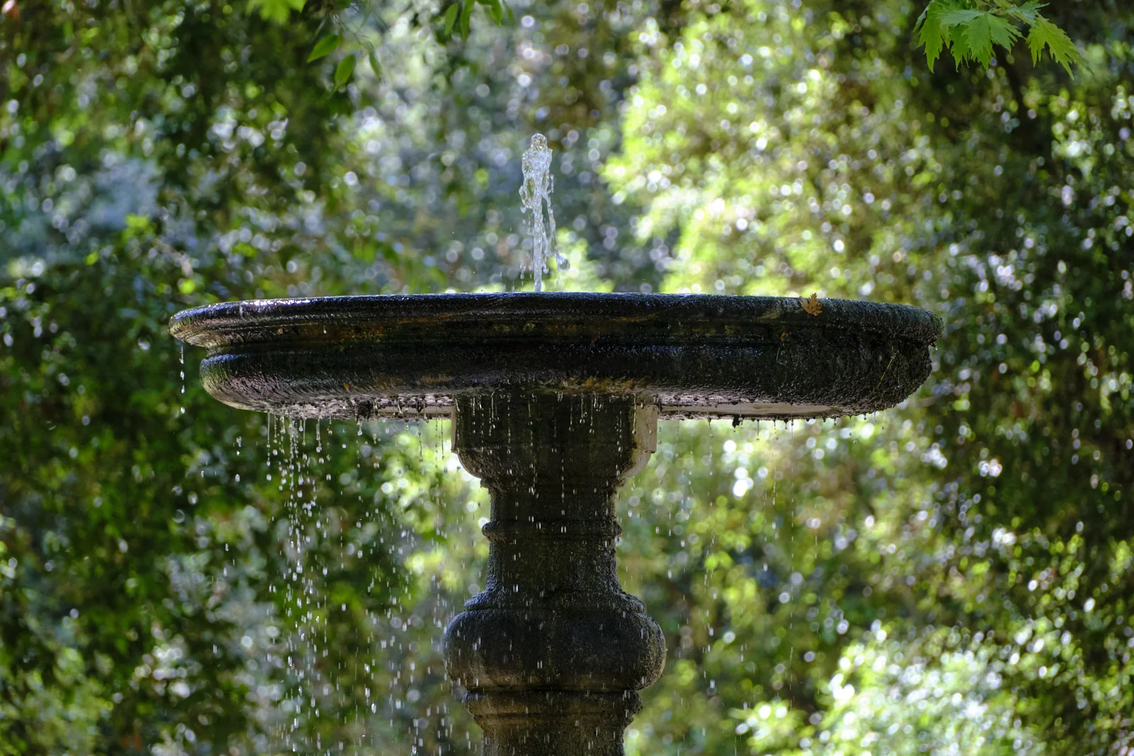 Stone garden fountain spraying water among trees at Villa Borghese
