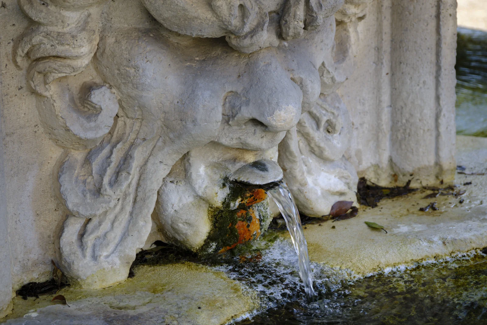 Carved stone mask fountain spout with water and moss, Villa Borghese