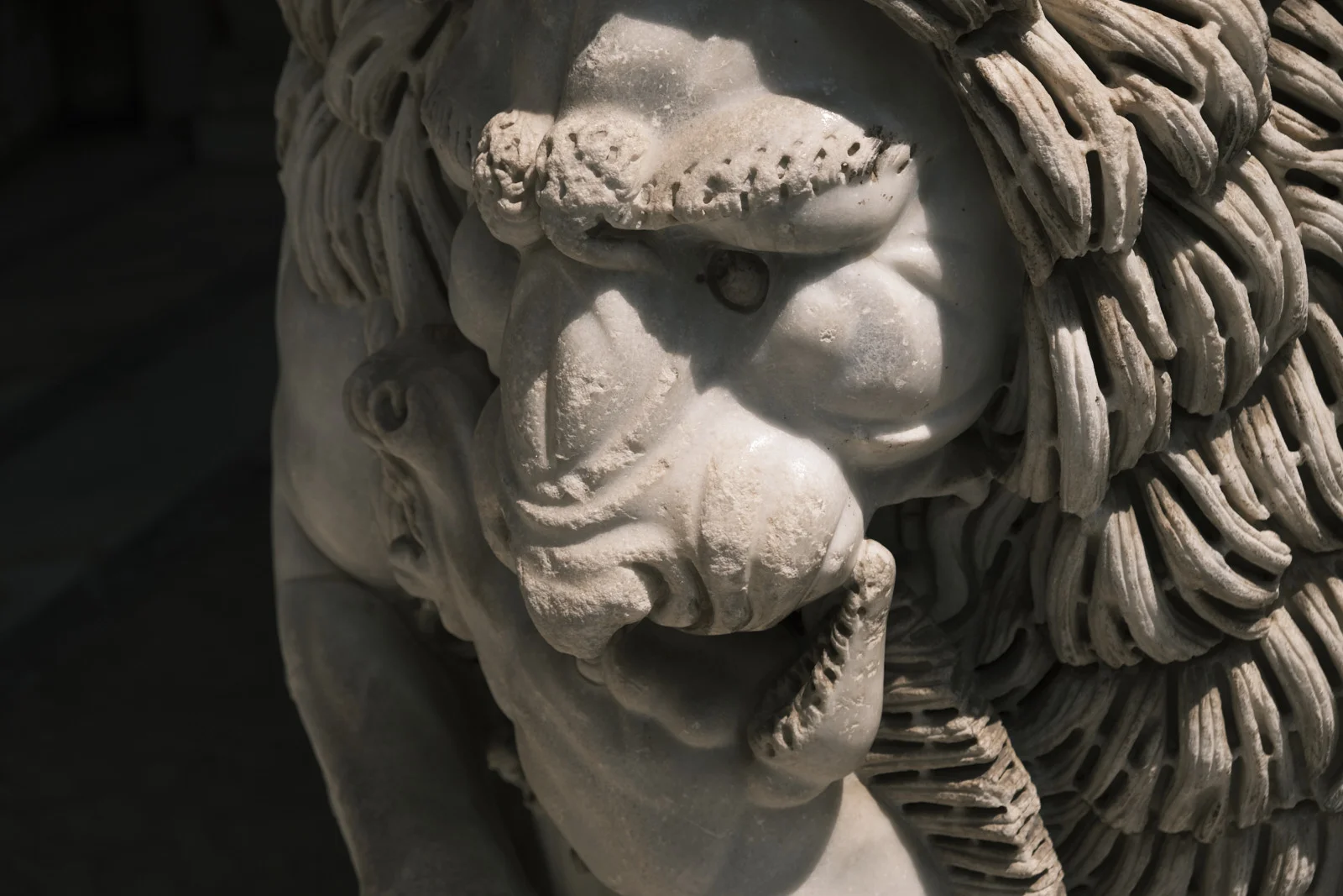 Close-up of a marble lion’s face and mane