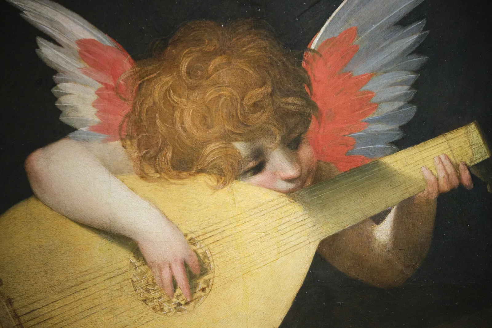 Painted angel hugging a lute, red and white wings