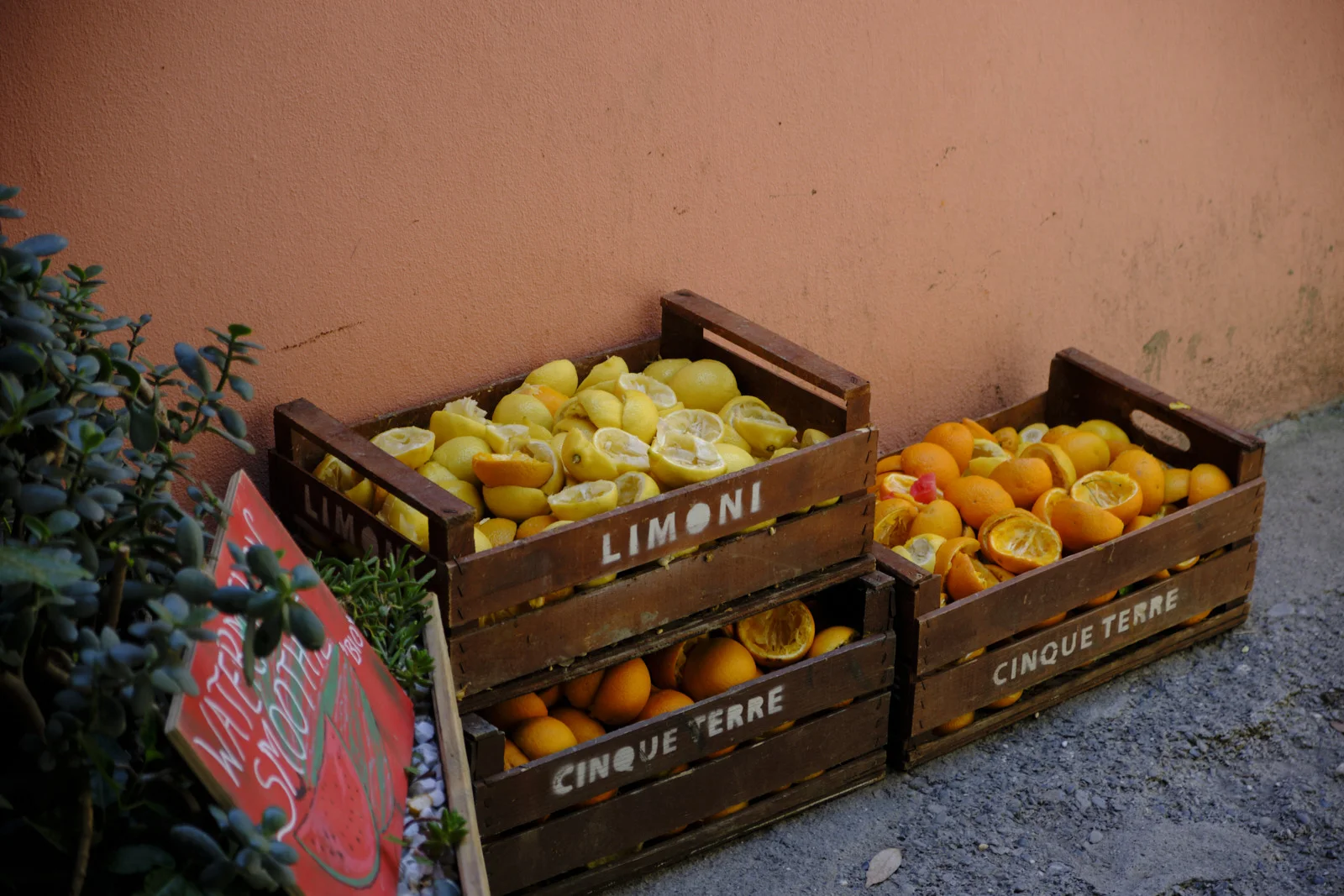 Wooden crates labeled LIMONI and CINQUE TERRE filled with citrus