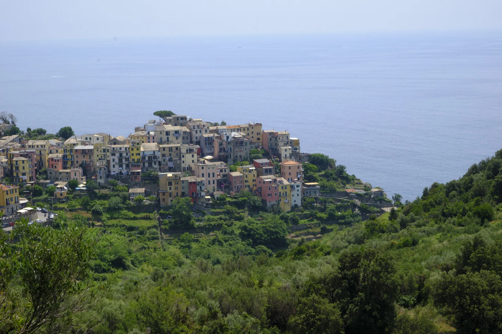 Corniglia village on a green headland above the sea