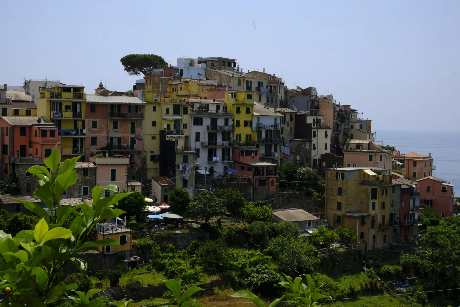 Colorful stacked houses of Corniglia