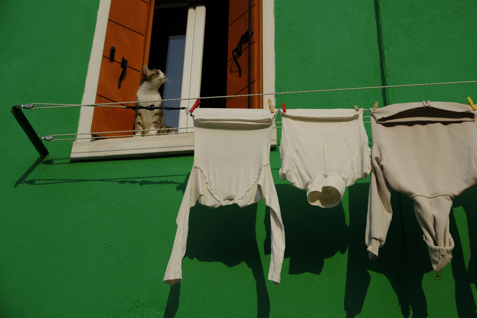 Cat in a window above laundry against a green Burano house