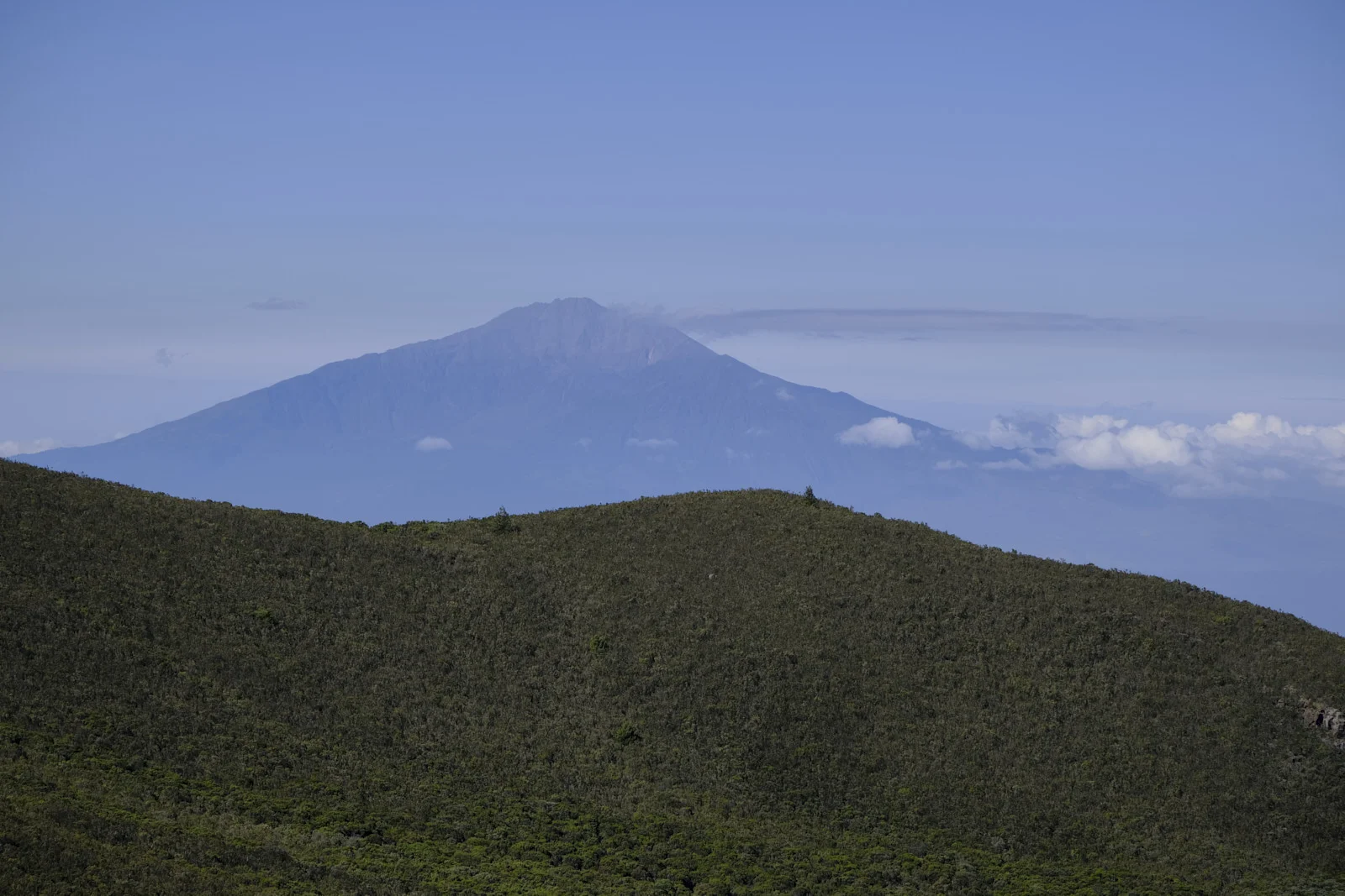 Mount Meru rising above a green ridge and a sea of cloud