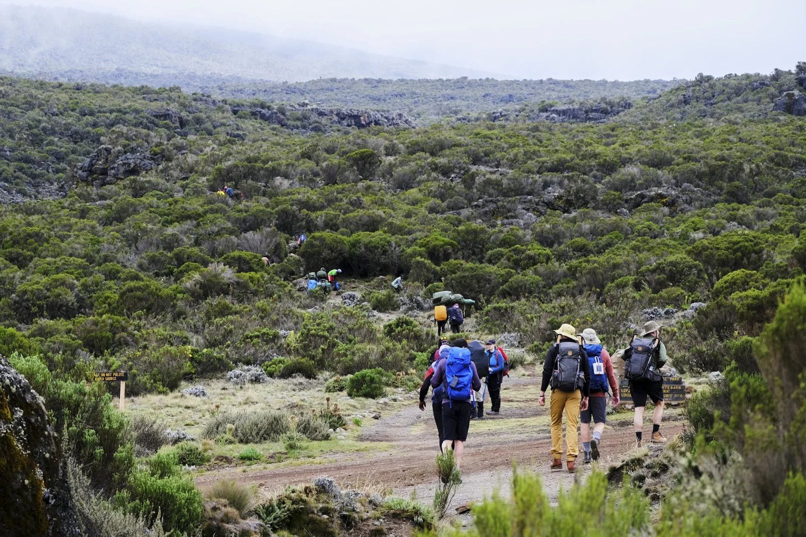 Hikers and porters on a dirt trail across the Shira moorland