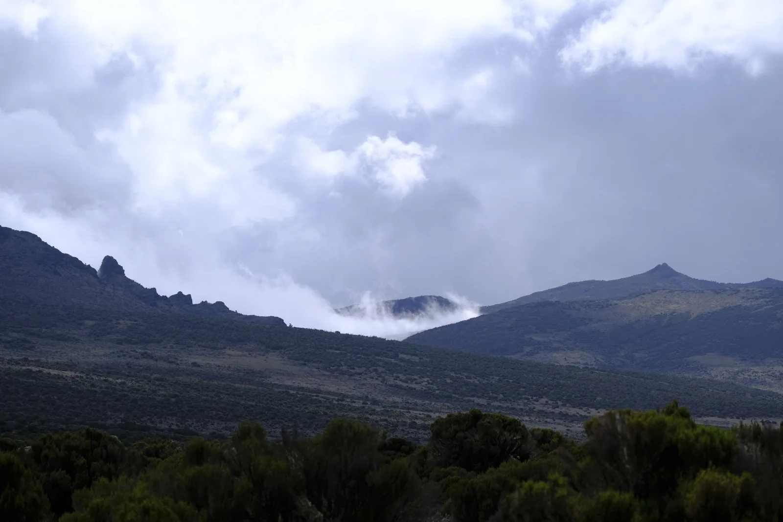 Cloud filling a gap between volcanic ridges on the Shira plateau