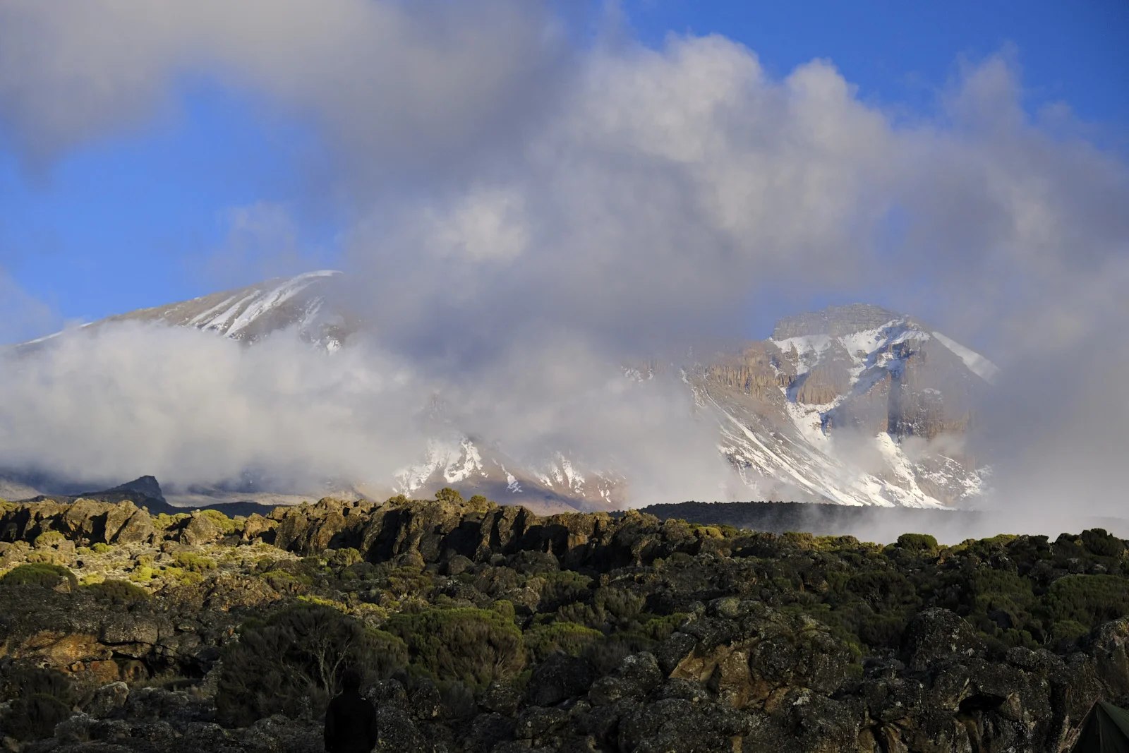 Kibo and Mawenzi rising above cloud and lava on the Shira plateau