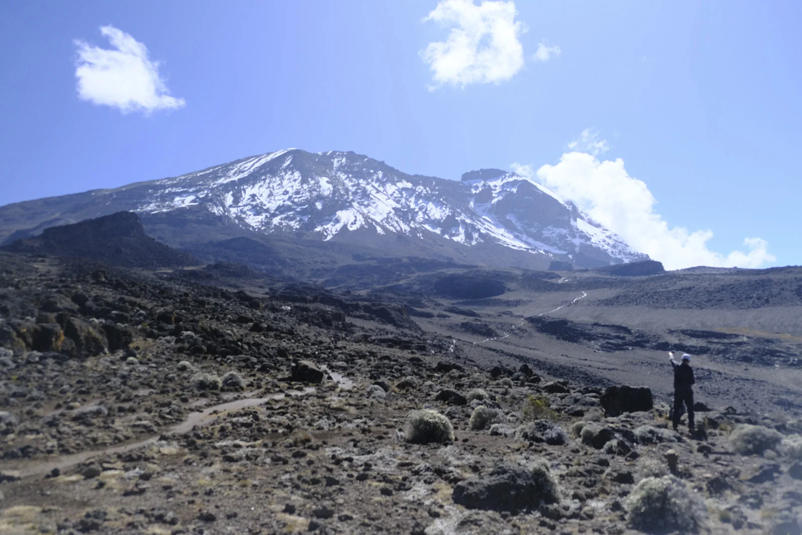 Hiker on the trail toward snow-covered Kibo