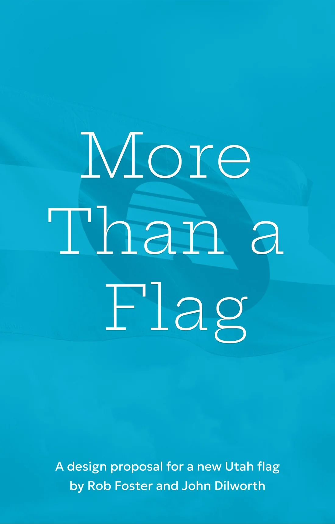 More than a Flag cover
