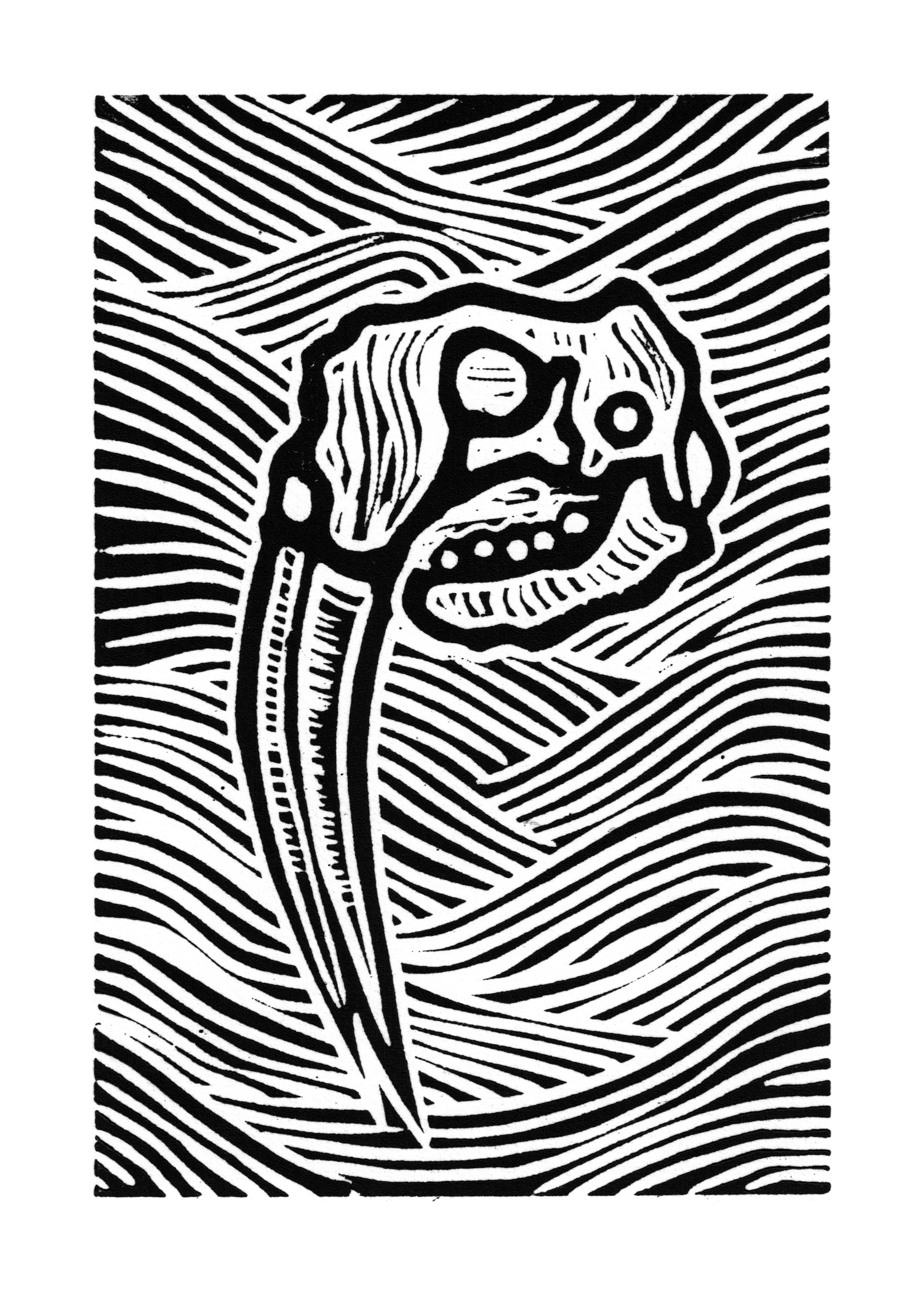 The Walrus