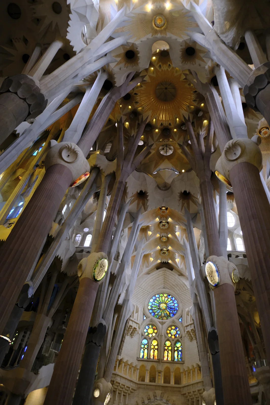 Looking up at the tree-like columns and vaults of the Sagrada Família in Barcelona, with a rose window at the Nativity end.
