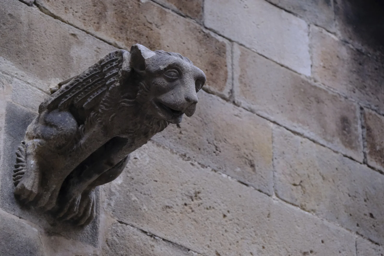 A stone gargoyle projecting from the wall of Barcelona Cathedral.