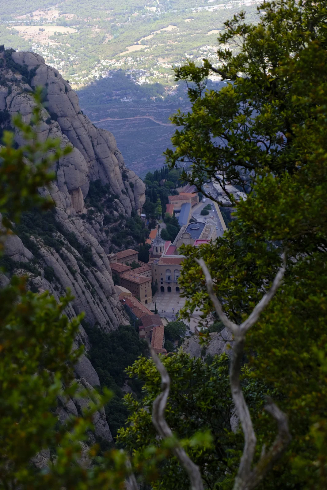 The basilica, monastery square, and tiled roofs of Montserrat in the mountain cleft, seen from above.