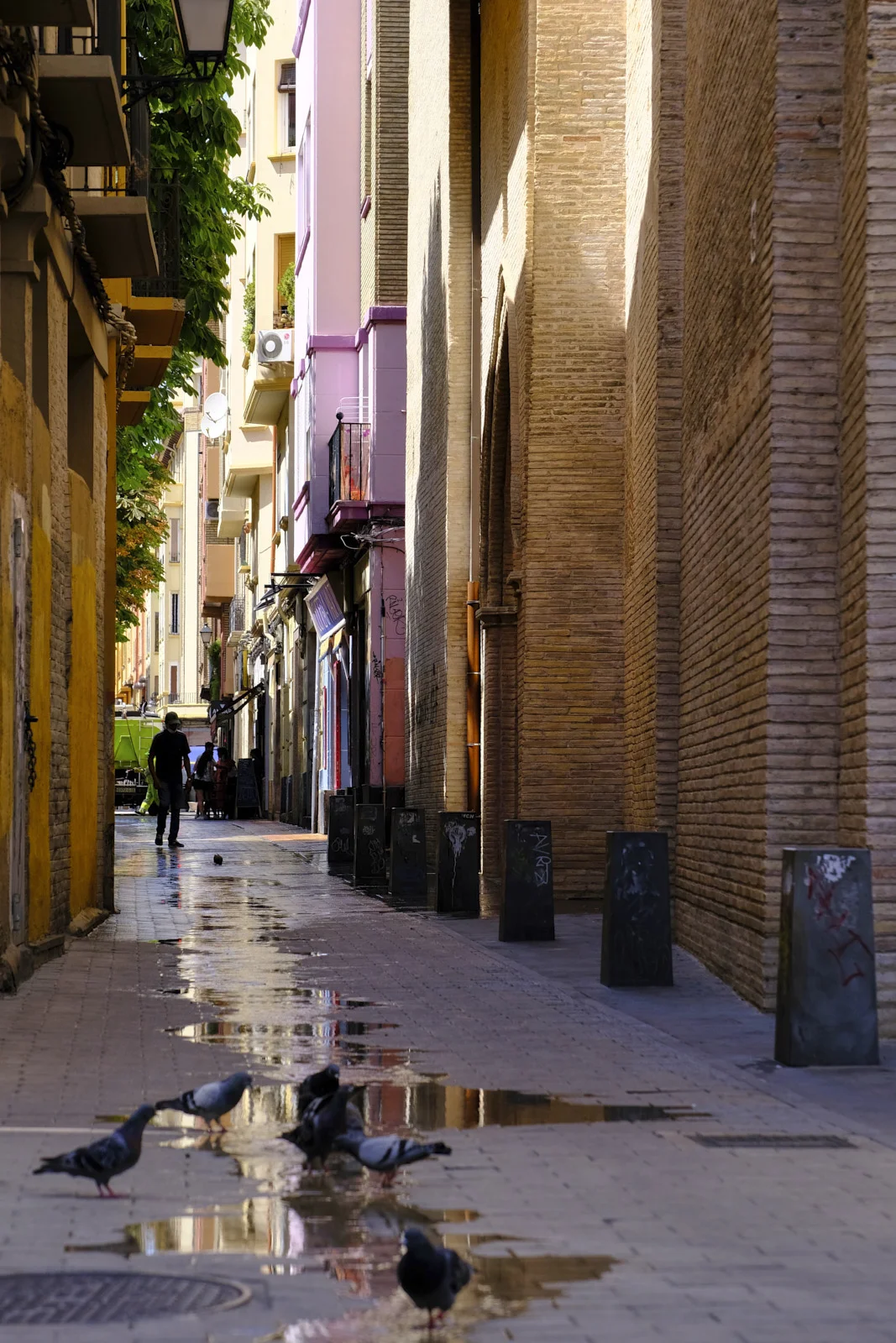 Pigeons stand on the paving of a narrow lane in the old town of Zaragoza, beside a tall brick wall.