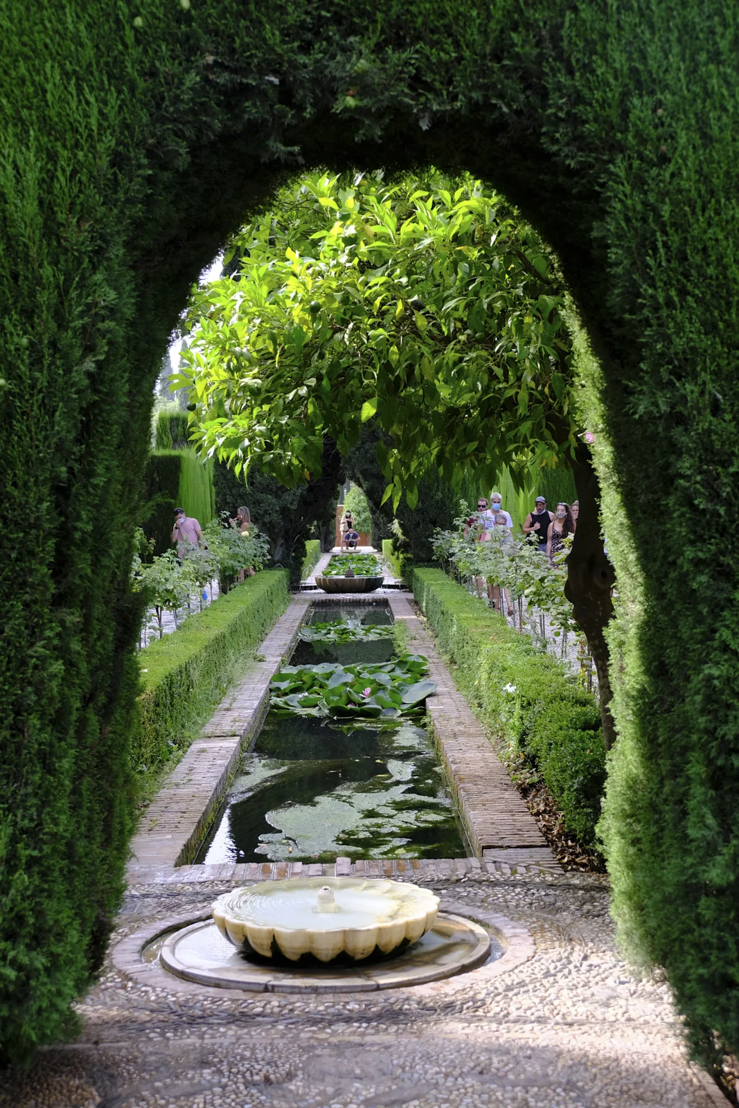 A water channel and fountain in the Generalife gardens in Granada.