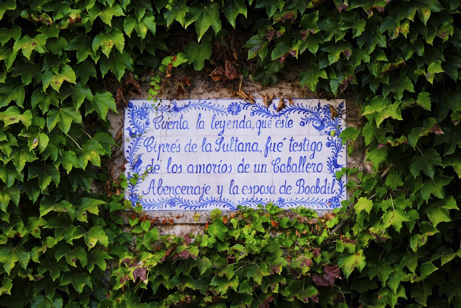 A plaque for the Cypress of the Sultana in the Generalife at Granada.