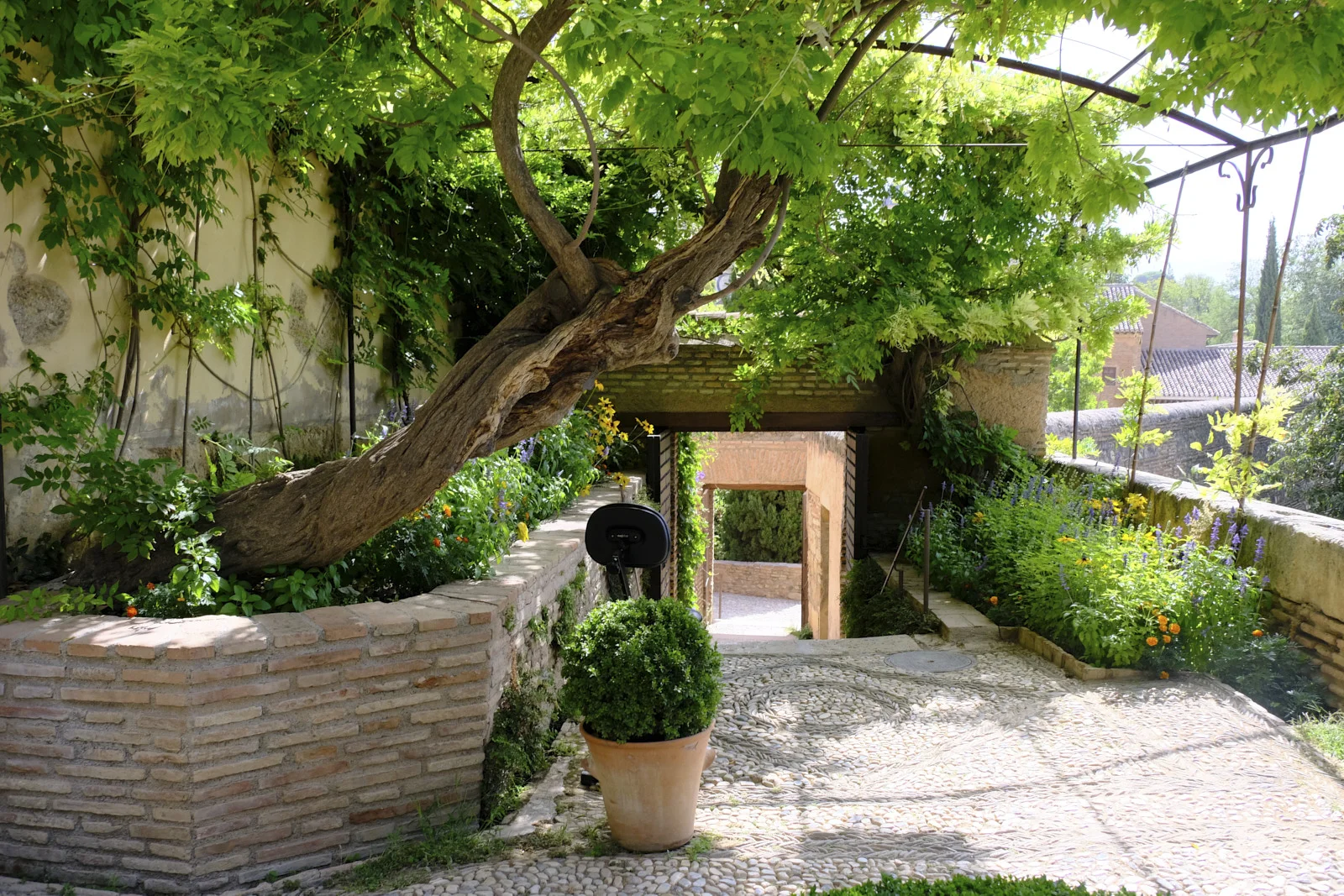 A cobblestone path passes a brick planter, a terracotta pot, and a vine on a metal pergola, toward a doorway.
