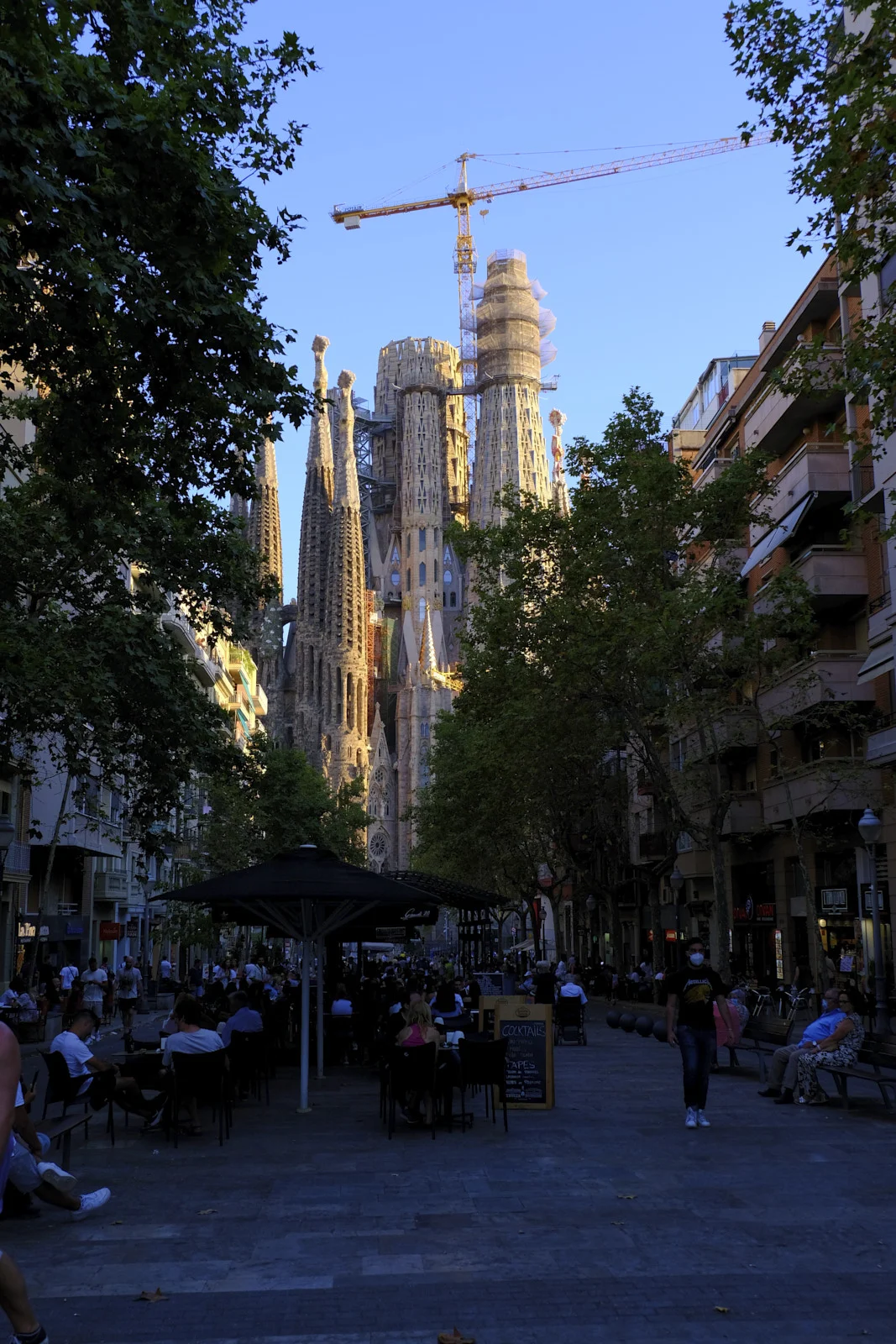 The Sagrada Família in Barcelona stands at the end of a tree-lined street, with construction cranes on the central tower.