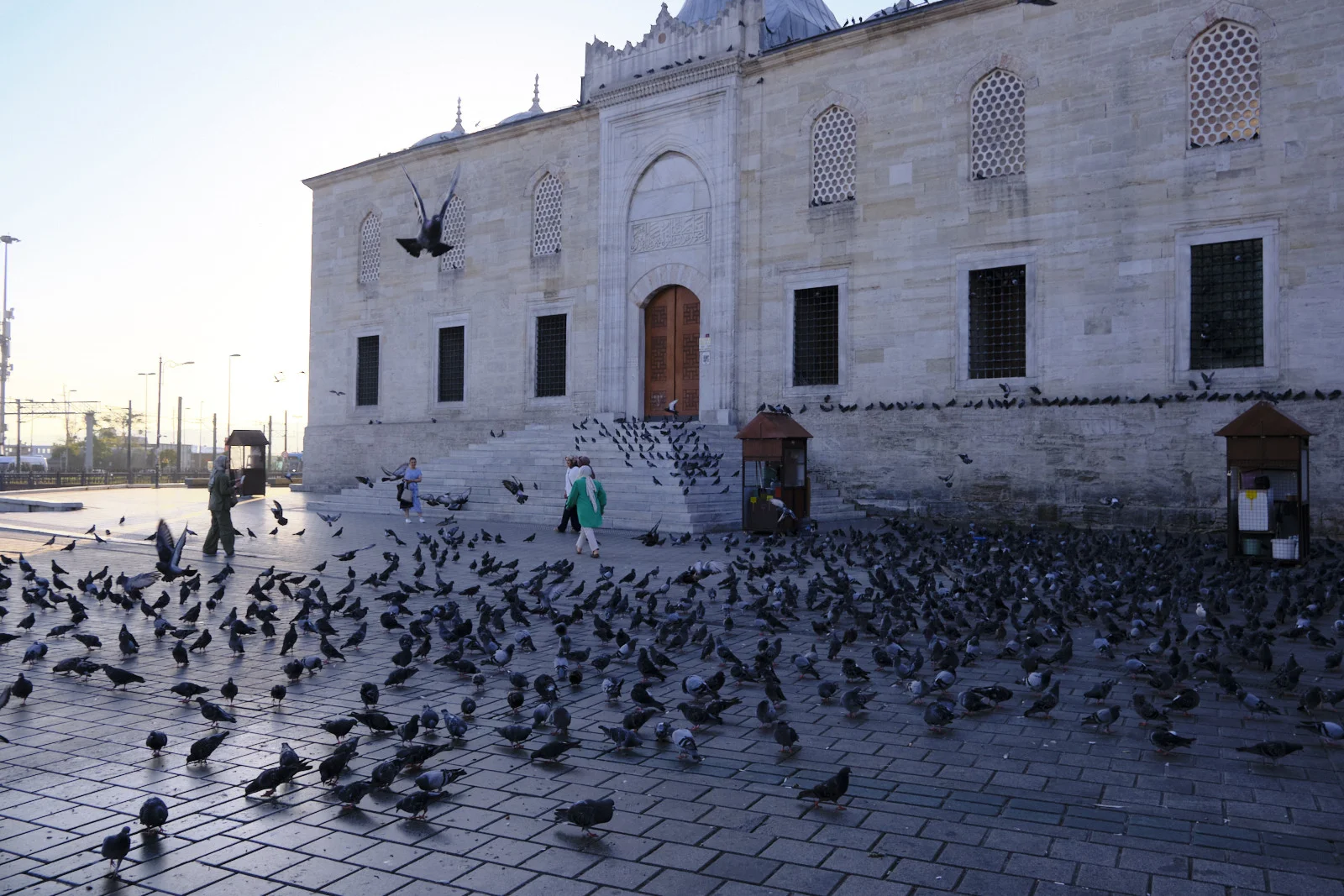 A large flock of pigeons covers a paved square in front of the New Mosque's pale stone wall and wooden door.