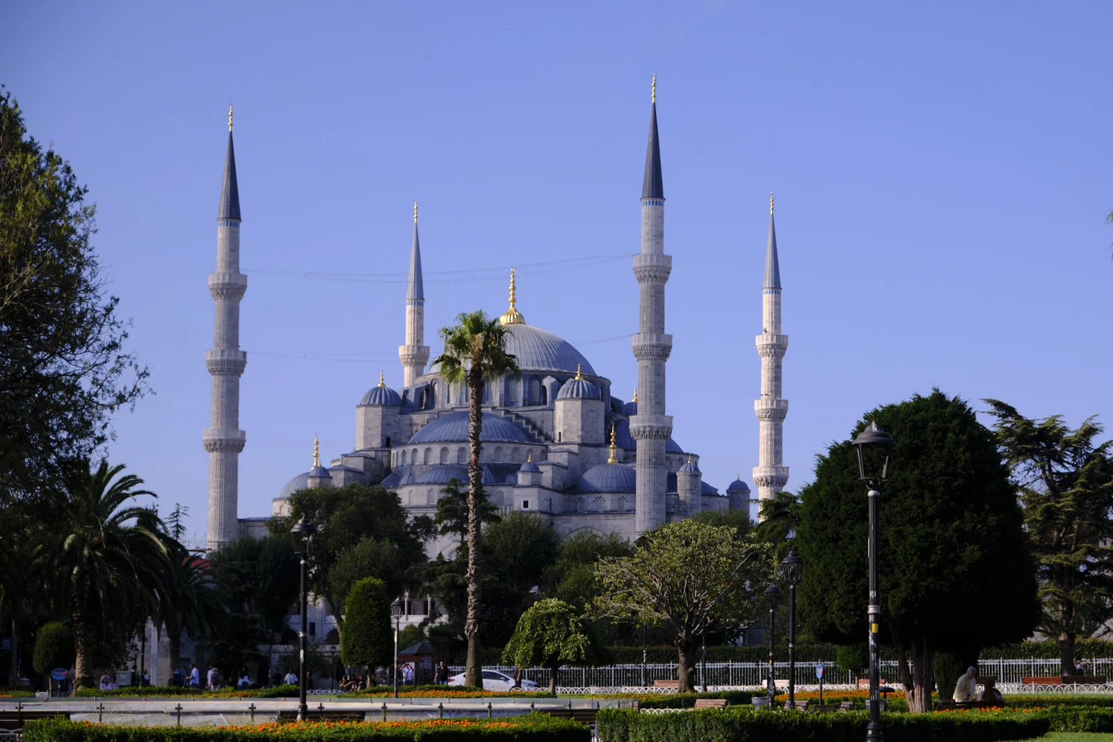 The Blue Mosque beyond a formal park garden with palm trees, orange flowers, and lampposts under a clear blue sky.