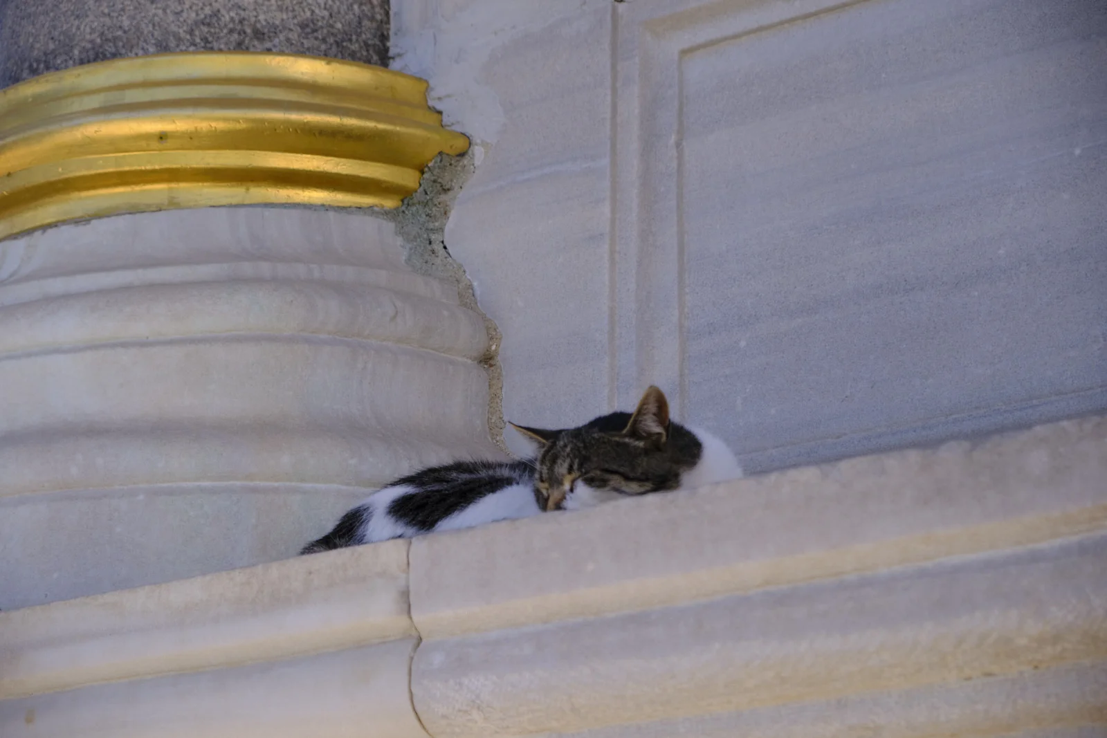 A sleeping tabby-and-white cat on a marble ledge beside a column base wrapped with a worn gilded ring.