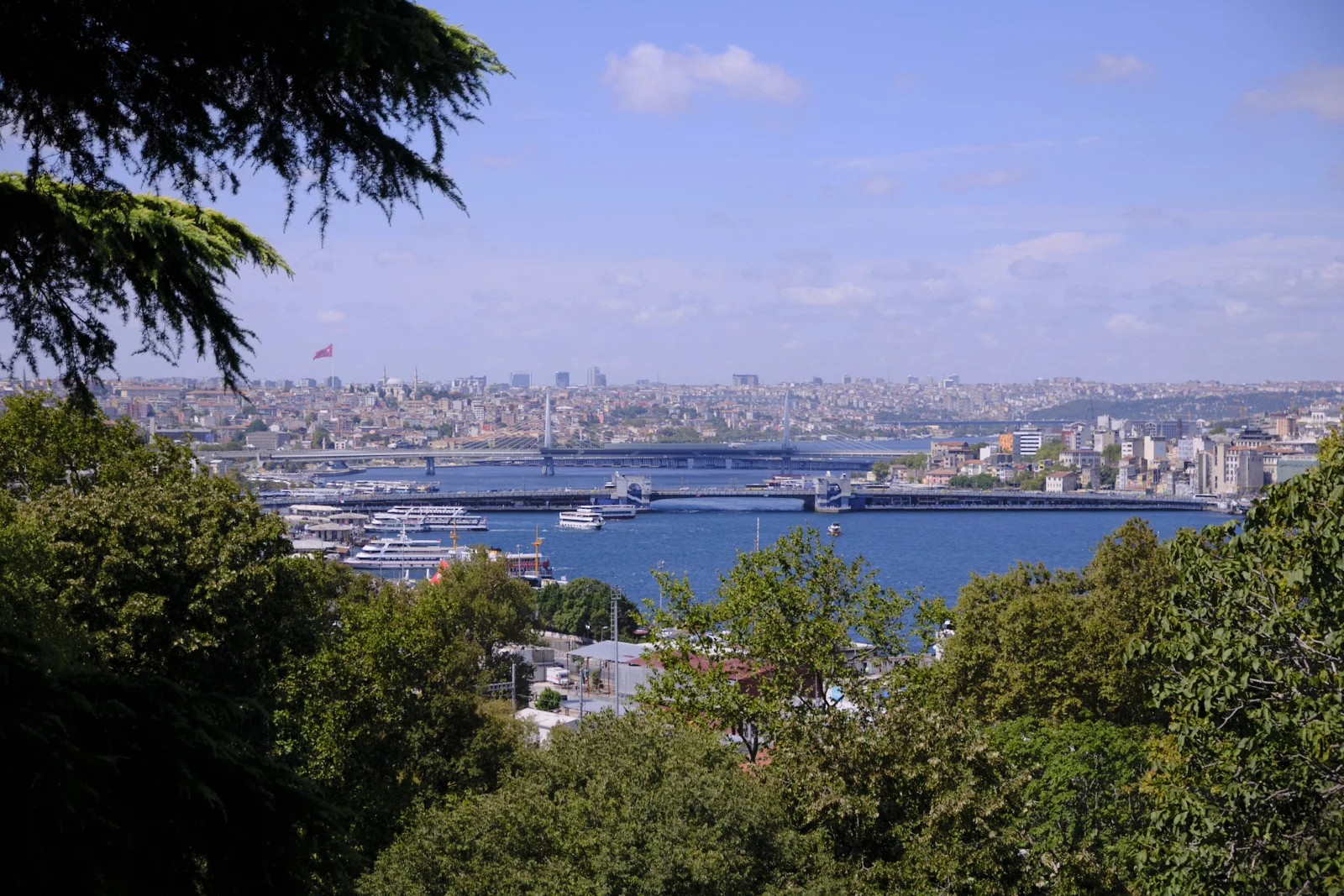 A high view through trees of the Golden Horn, Galata Bridge, a cable-stayed bridge, and ferries along the near shore.