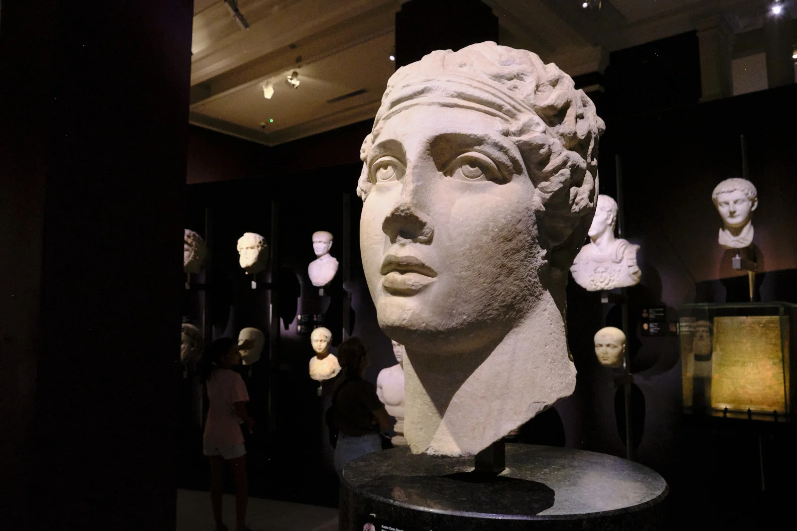 A large marble head with curly hair and a carved band stands on a pedestal among smaller portrait busts in a dark gallery.