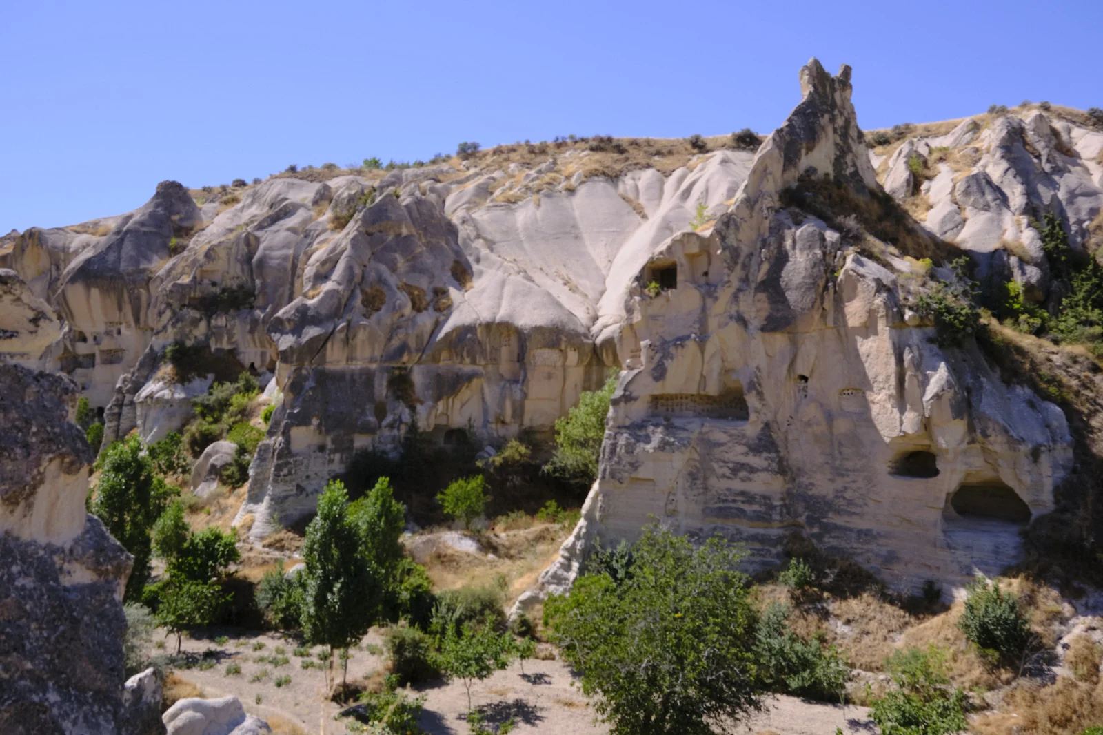A sunlit cliff of pale rock full of cave openings, with green trees along the slope and a clear blue sky above.